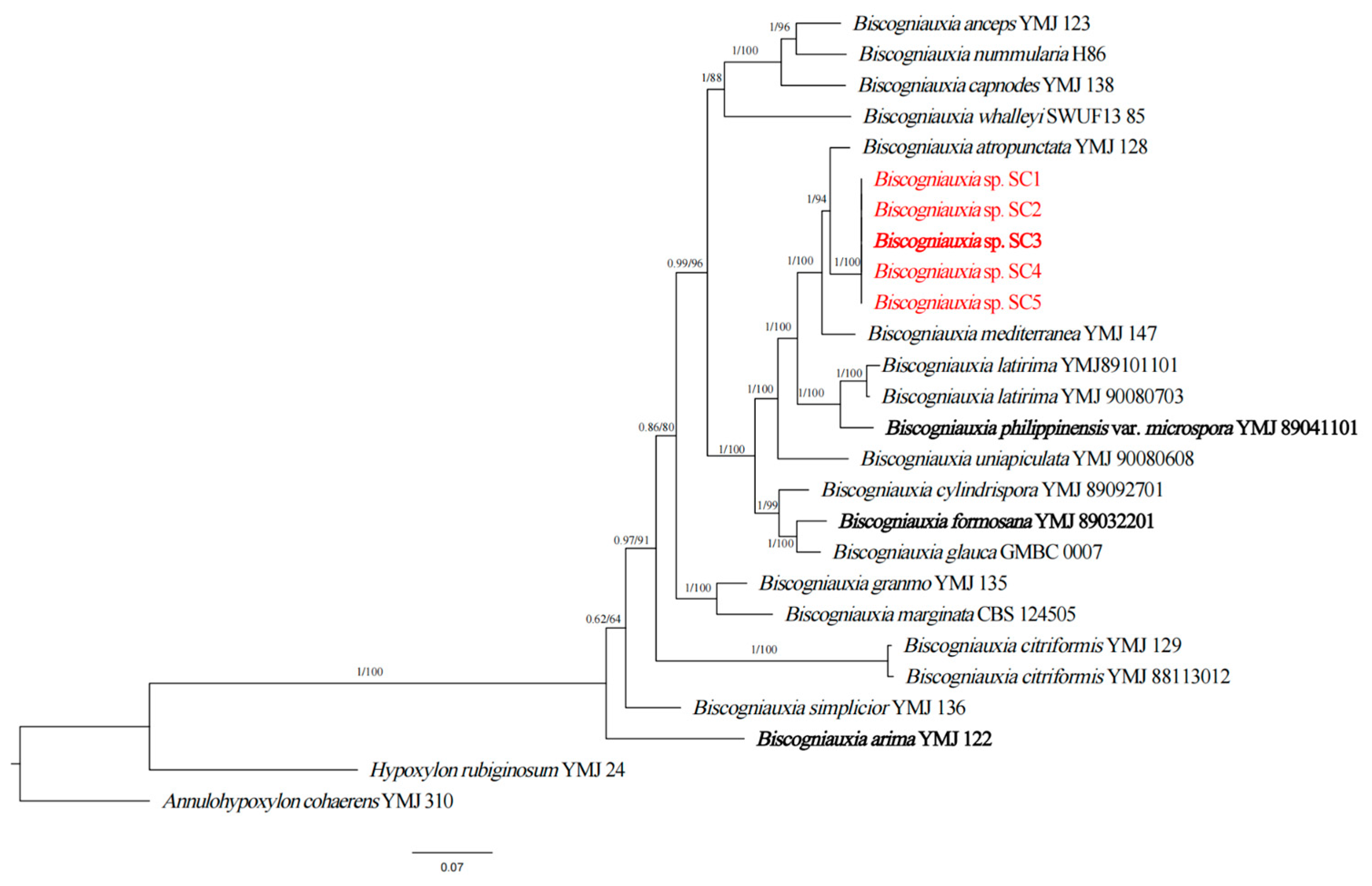 Forests 15 00956 g002