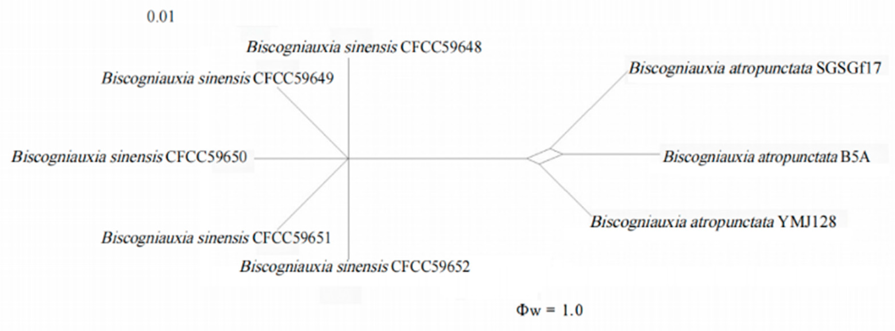 Forests 15 00956 g003