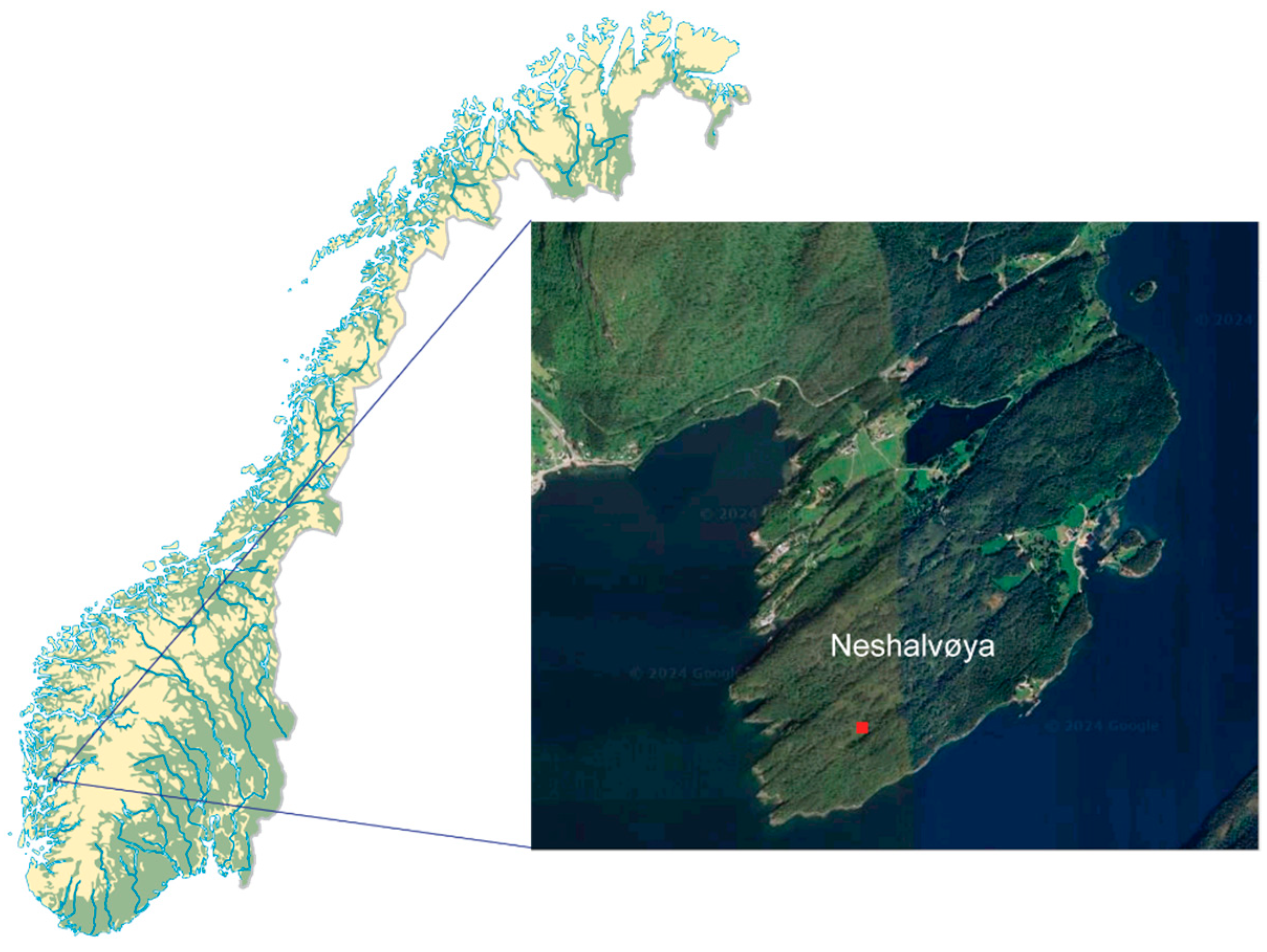 Forests 15 00957 g001