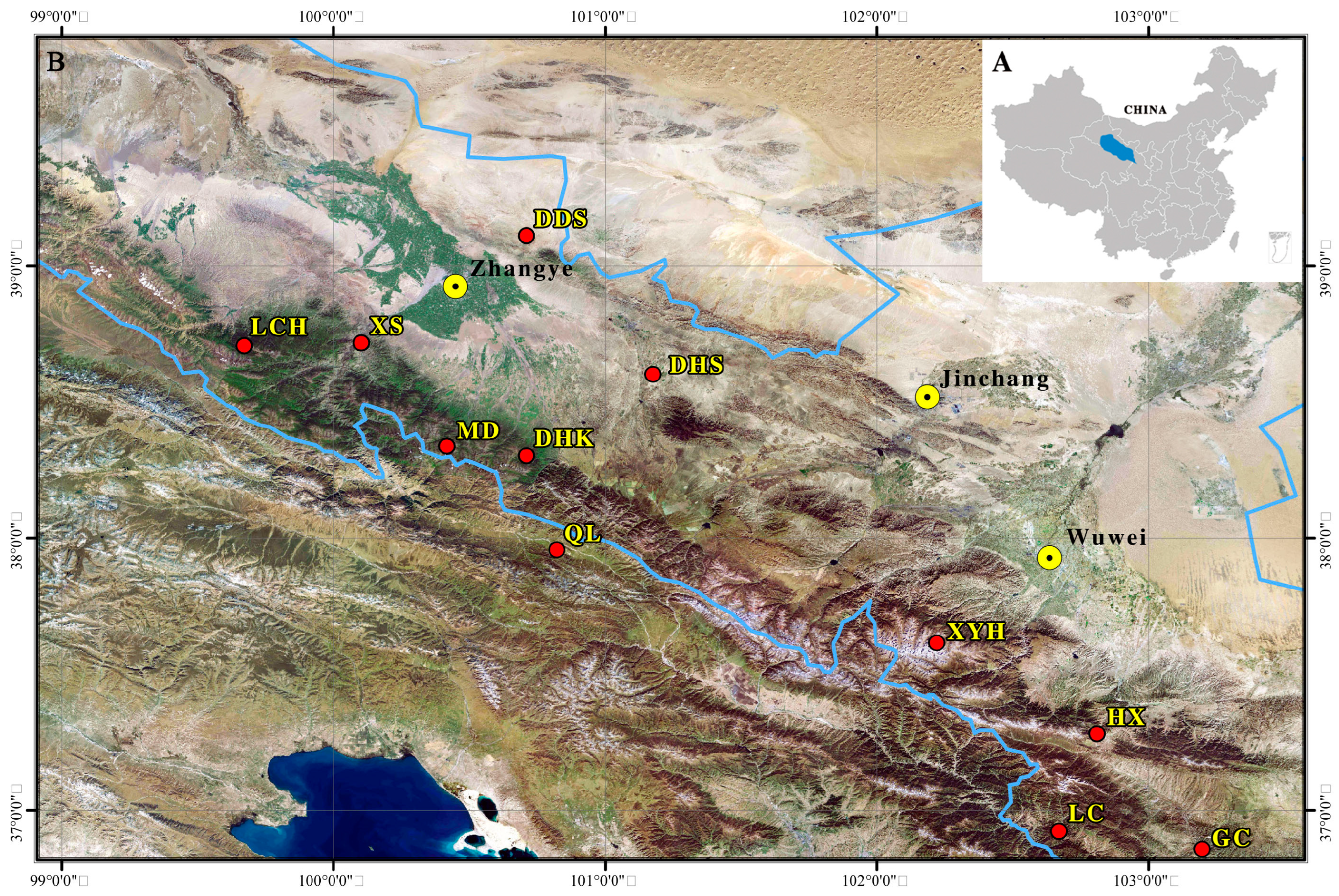 Forests 15 00960 g001