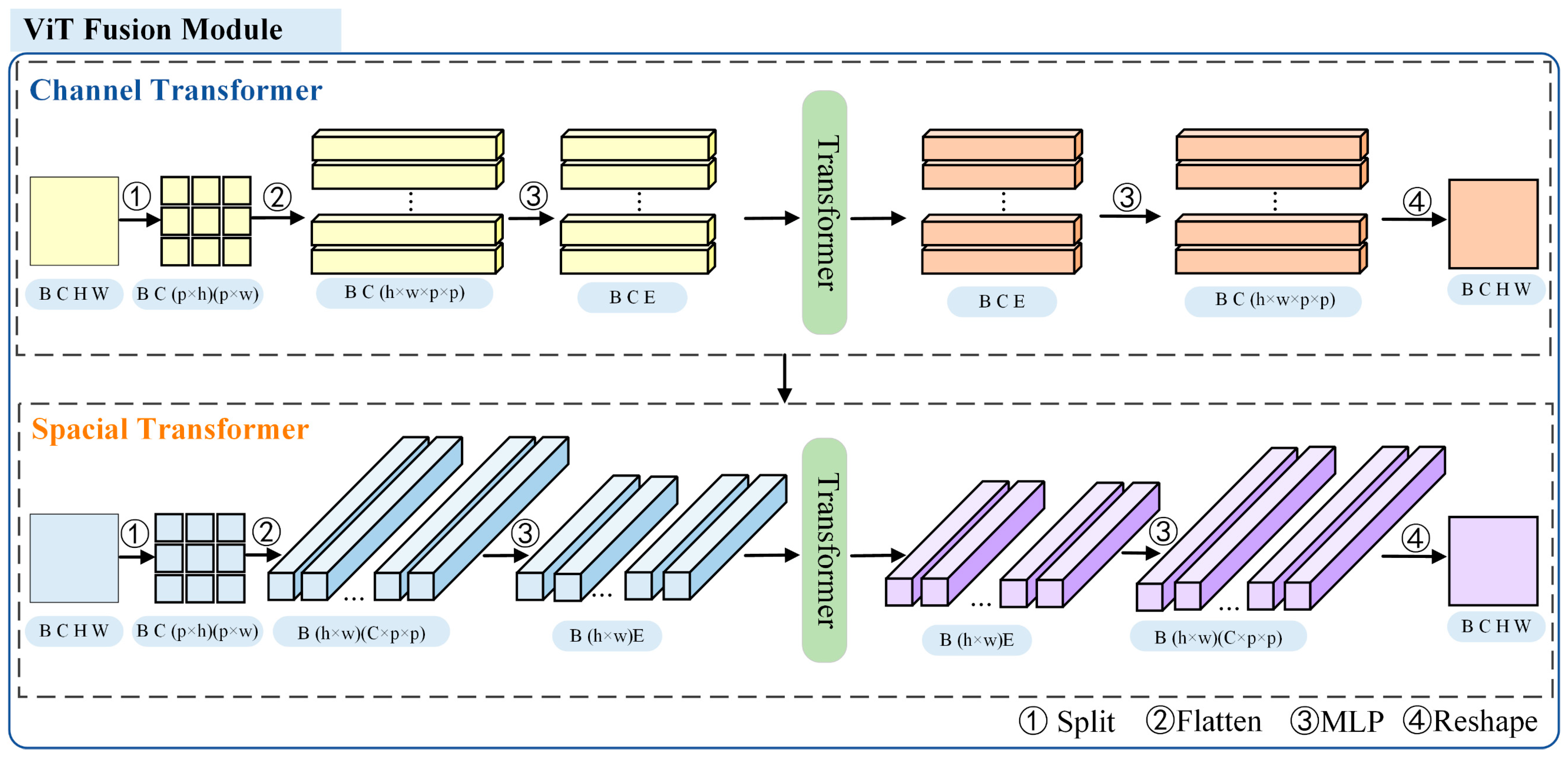 Forests 15 00976 g003