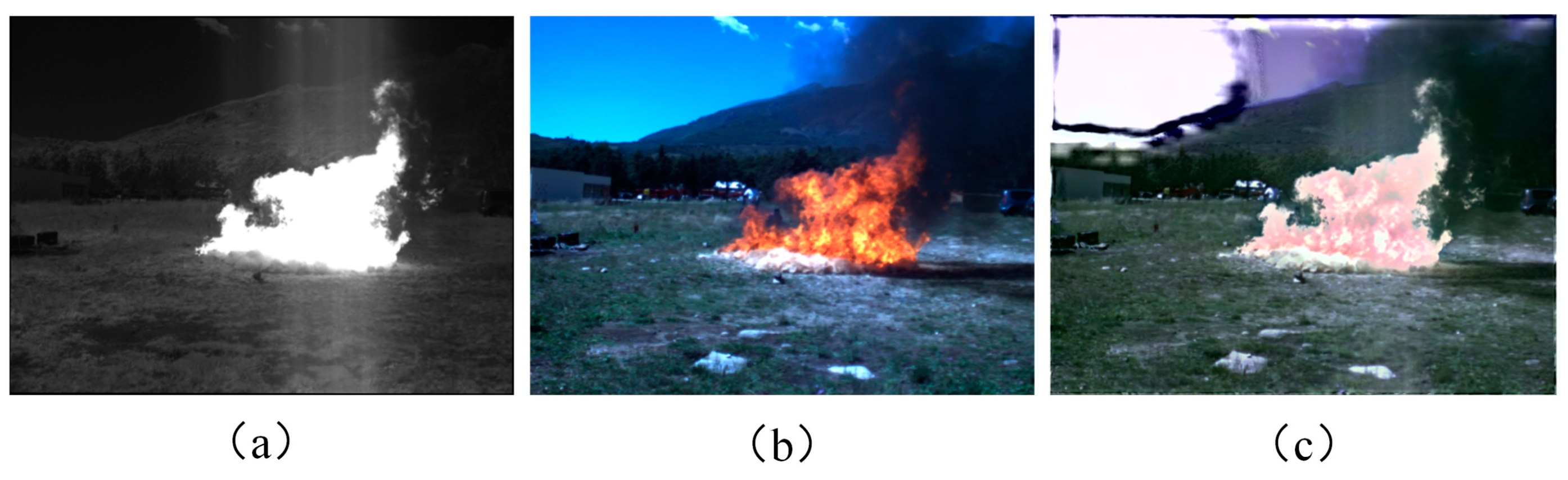 Forests 15 00976 g007