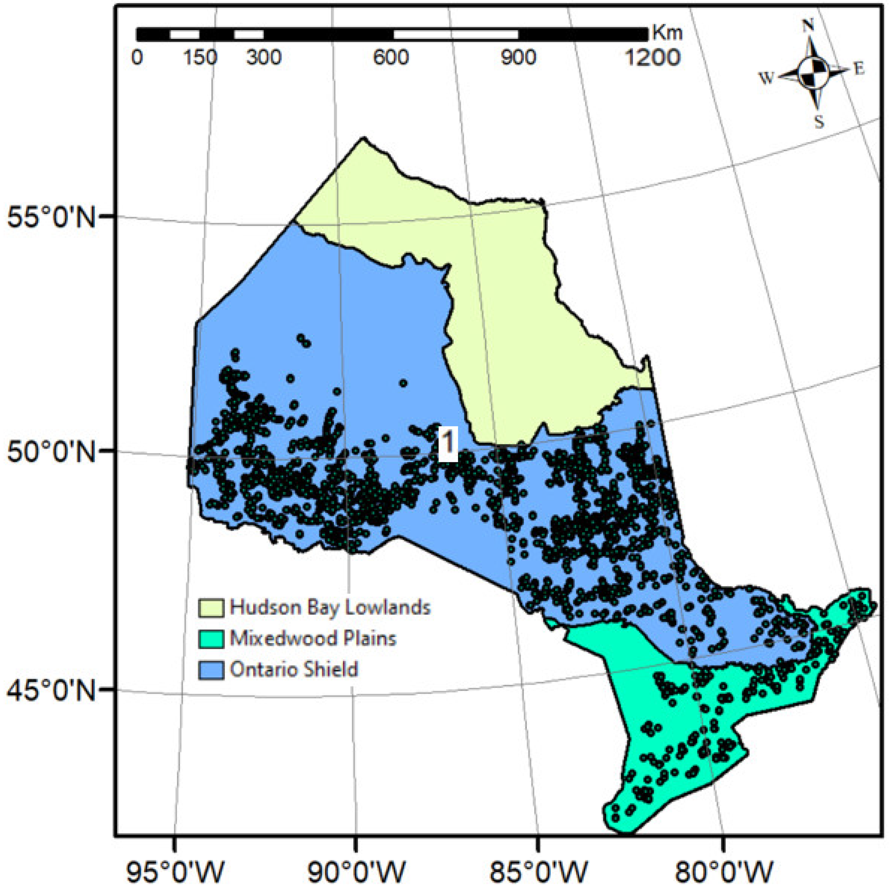 Forests 15 00977 g001