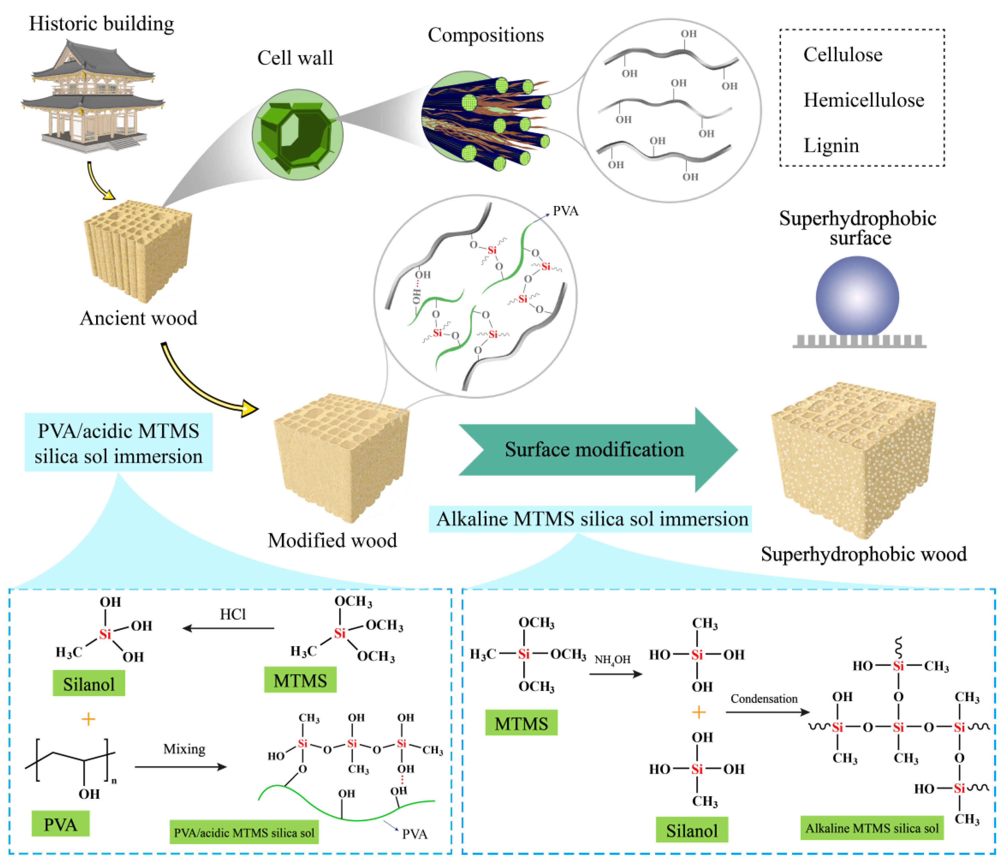 Forests 15 00978 g008