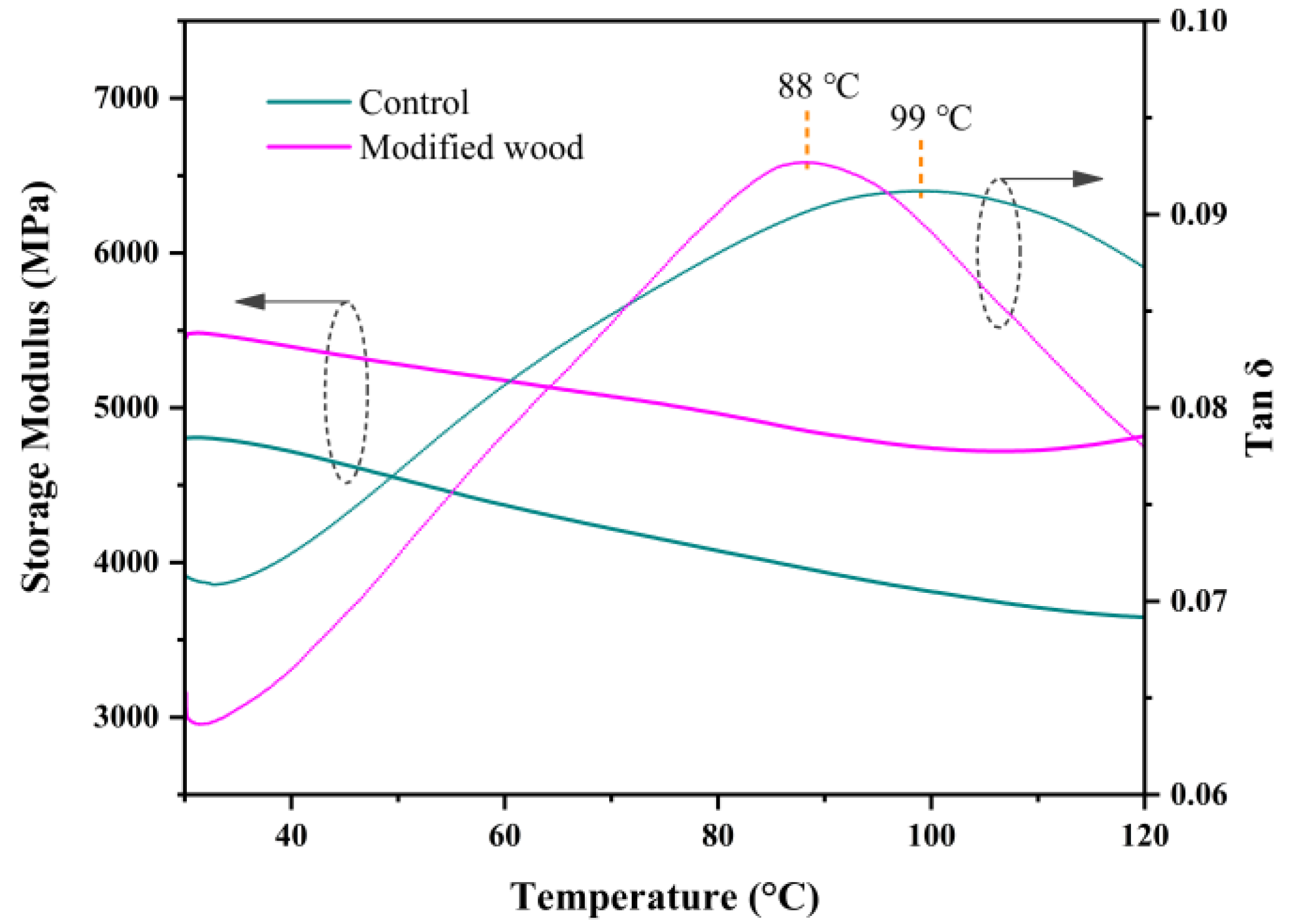 Forests 15 00978 g016