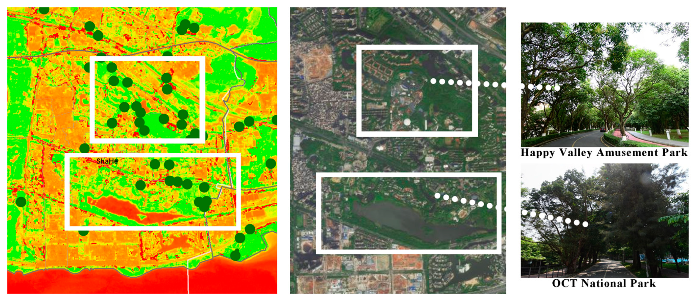 Forests 15 00983 g013