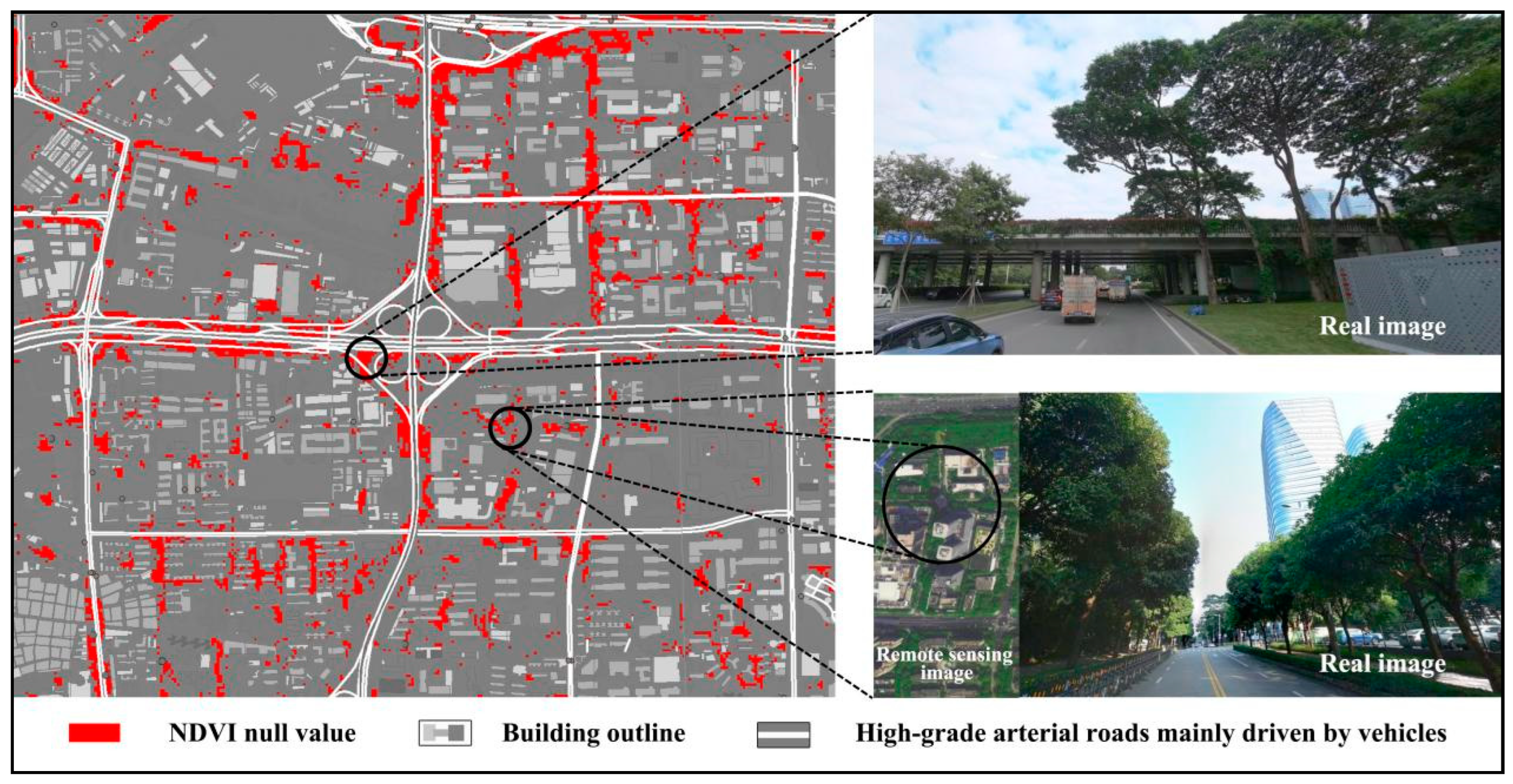 Forests 15 00983 g015