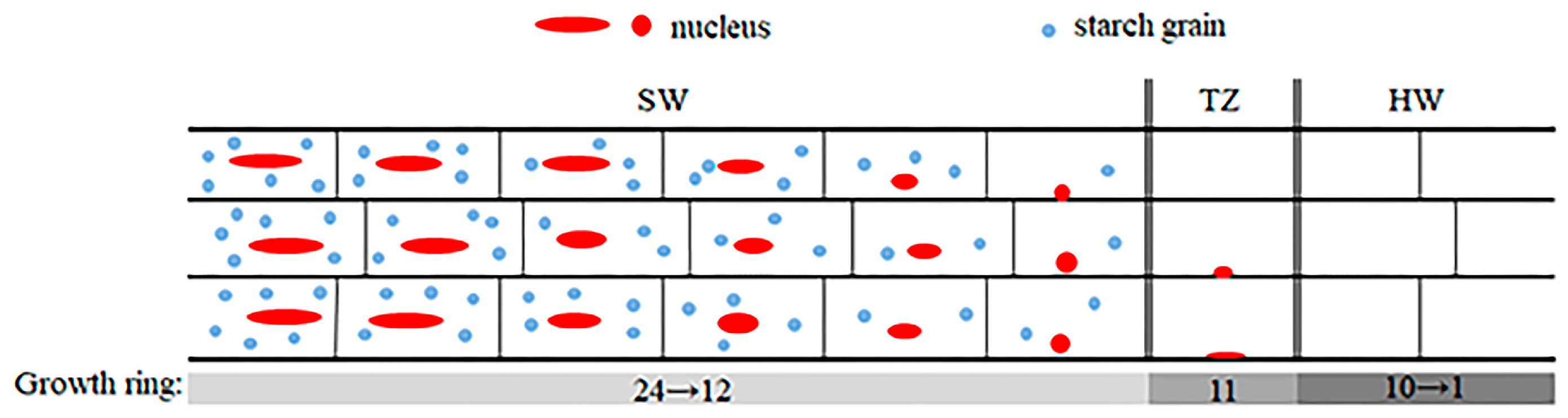 Forests 15 00984 g006