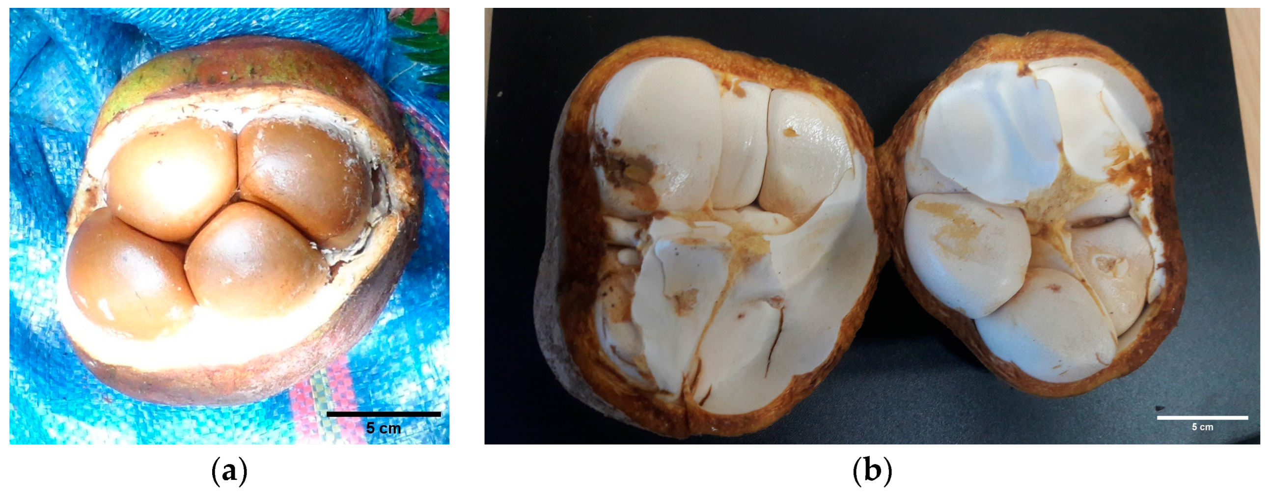 Forests 15 00987 g002