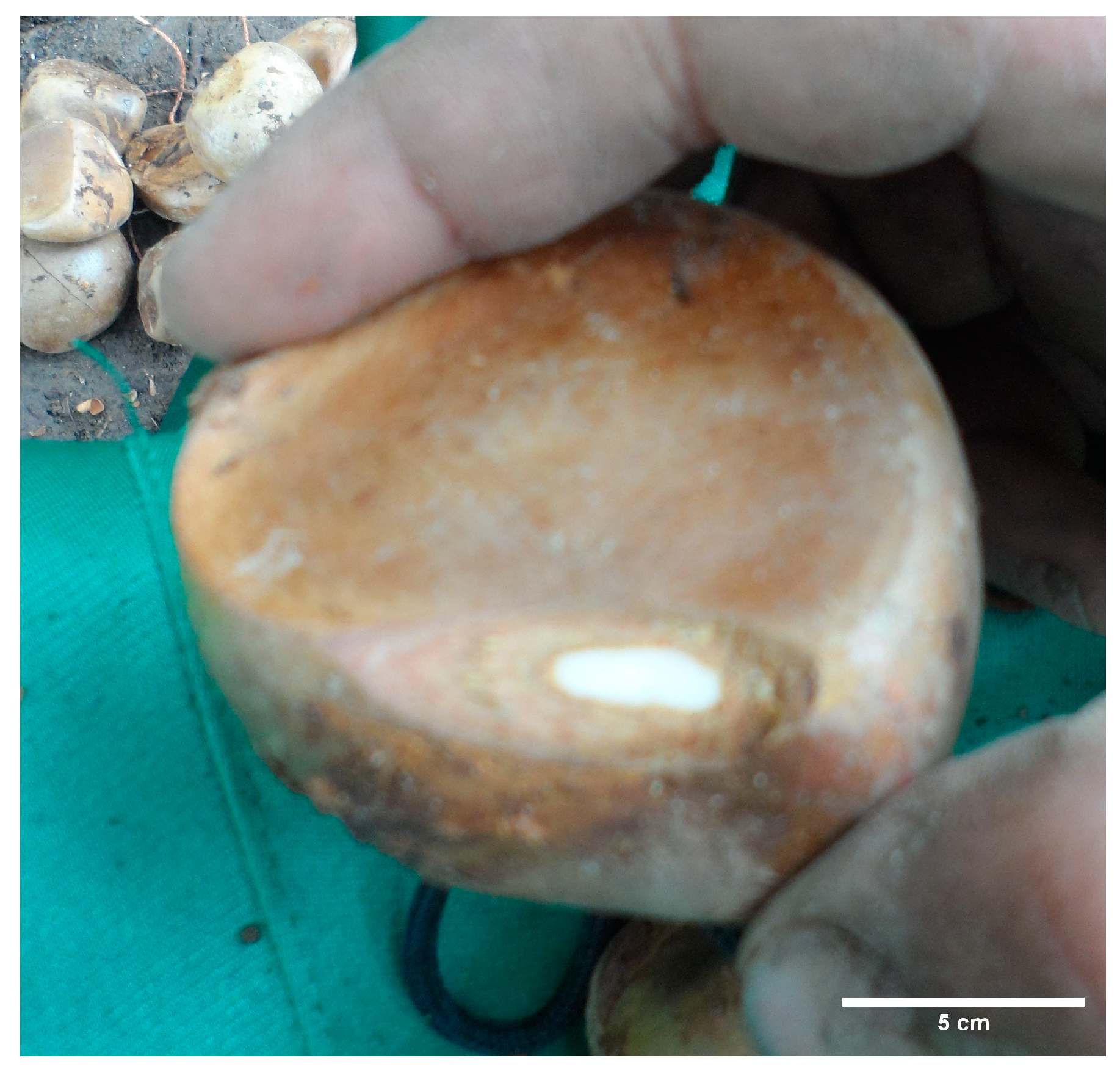 Forests 15 00987 g003