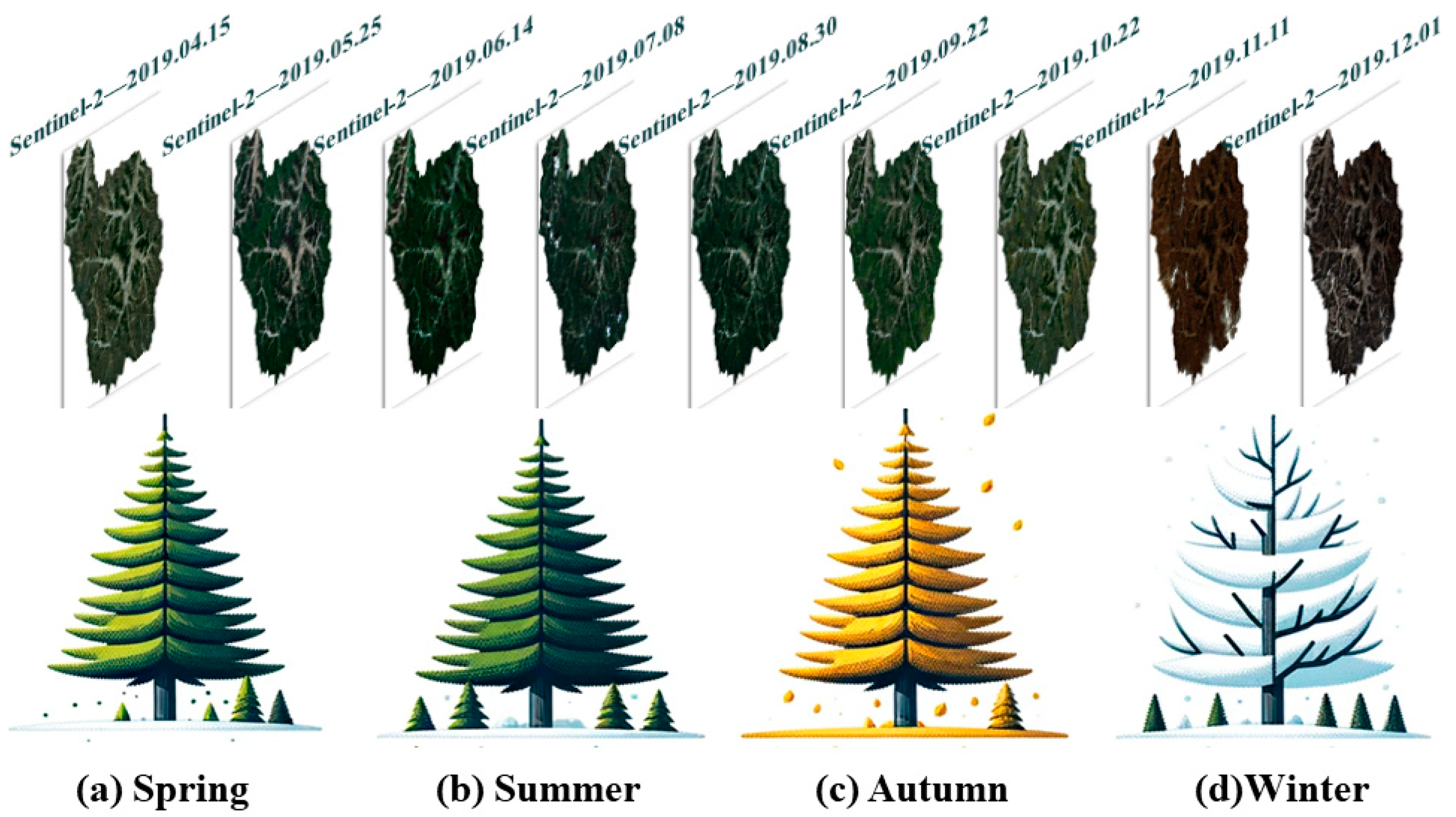 Forests 15 00995 g003
