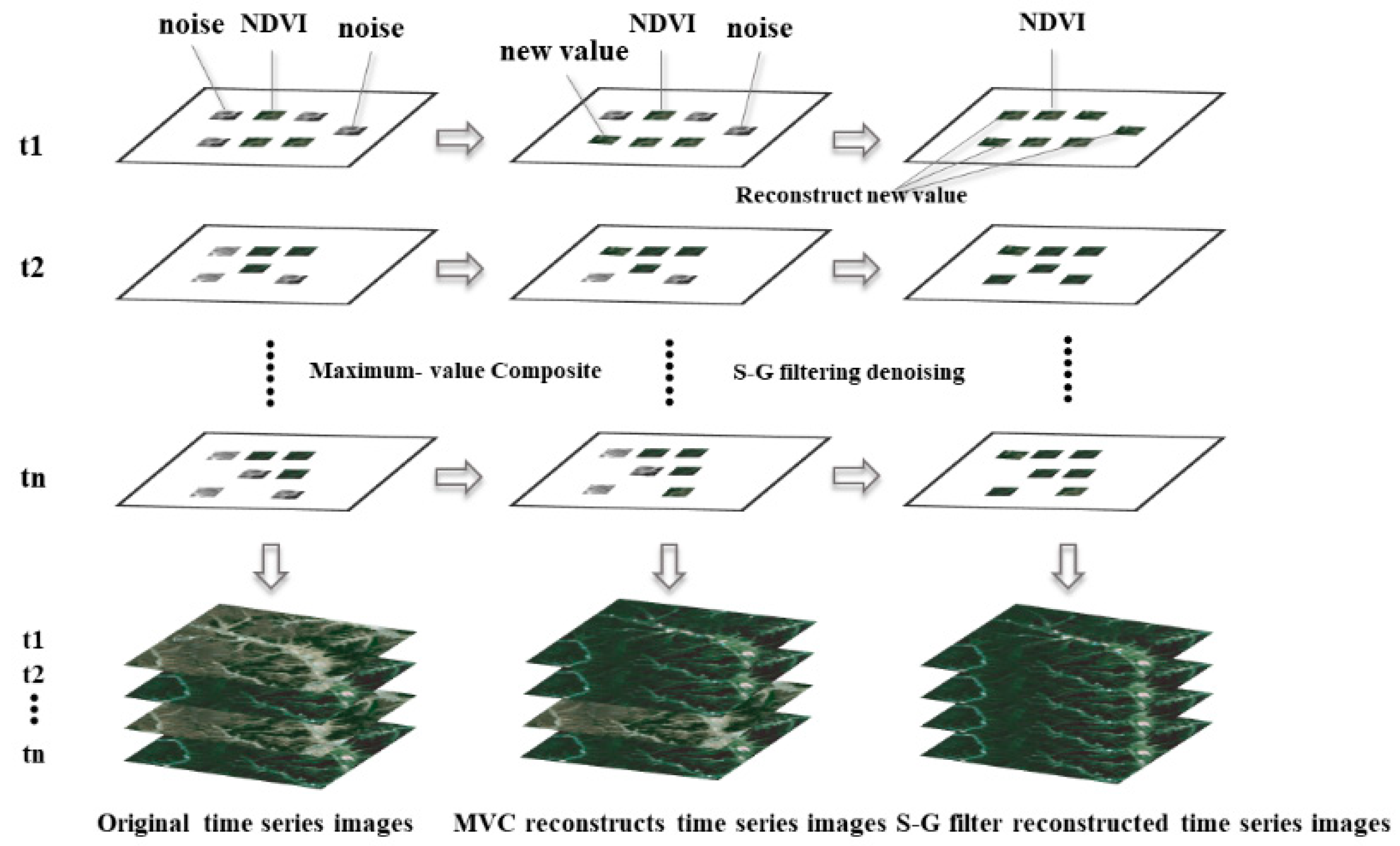 Forests 15 00995 g005