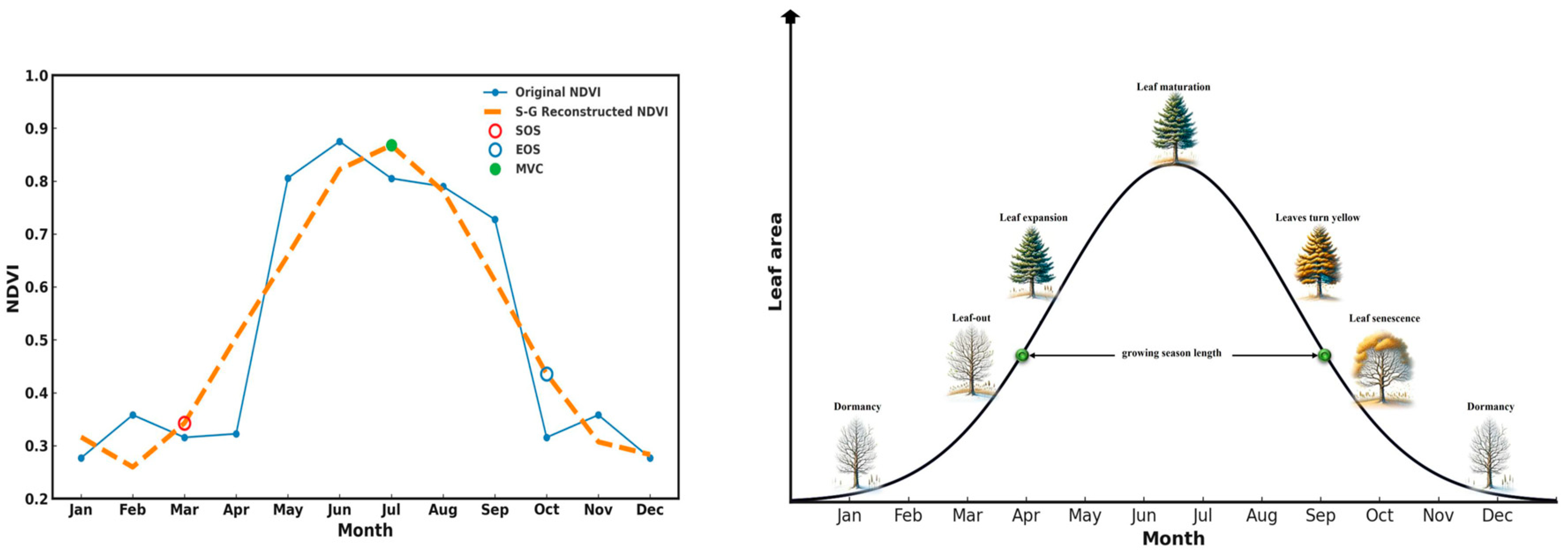 Forests 15 00995 g006