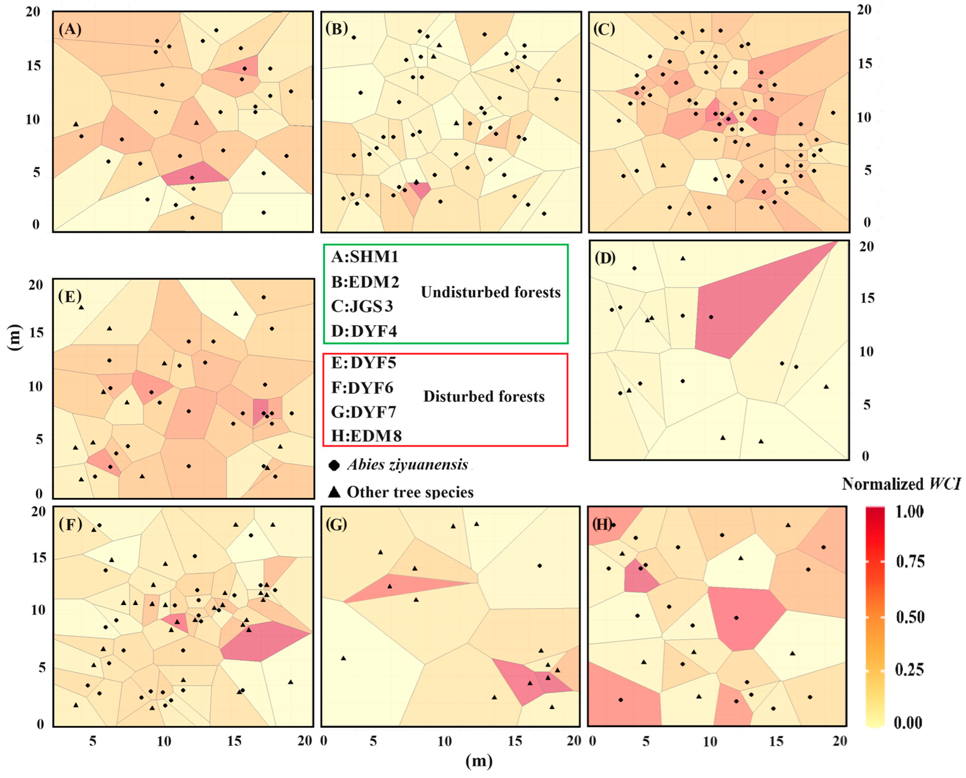 Forests 15 01001 g006