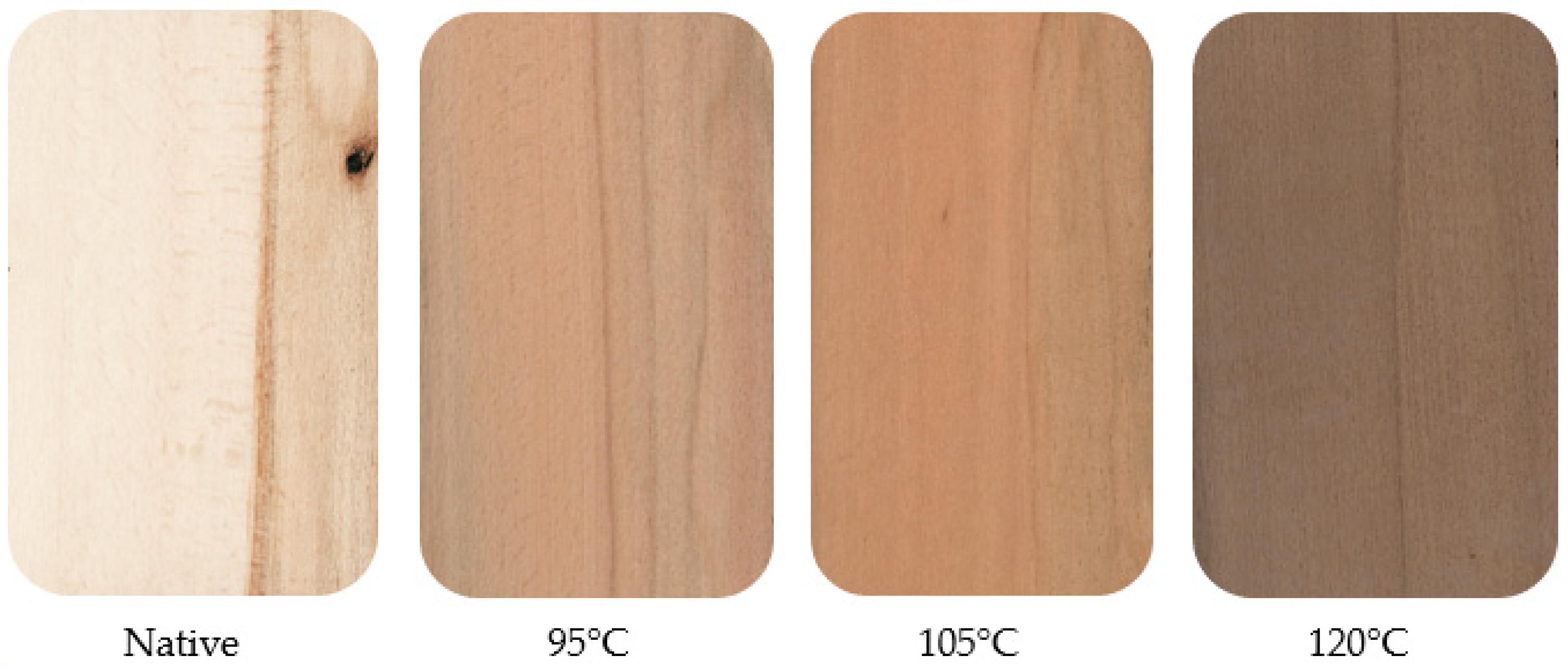 Forests 15 01009 g002 Forests 15 01009 g002