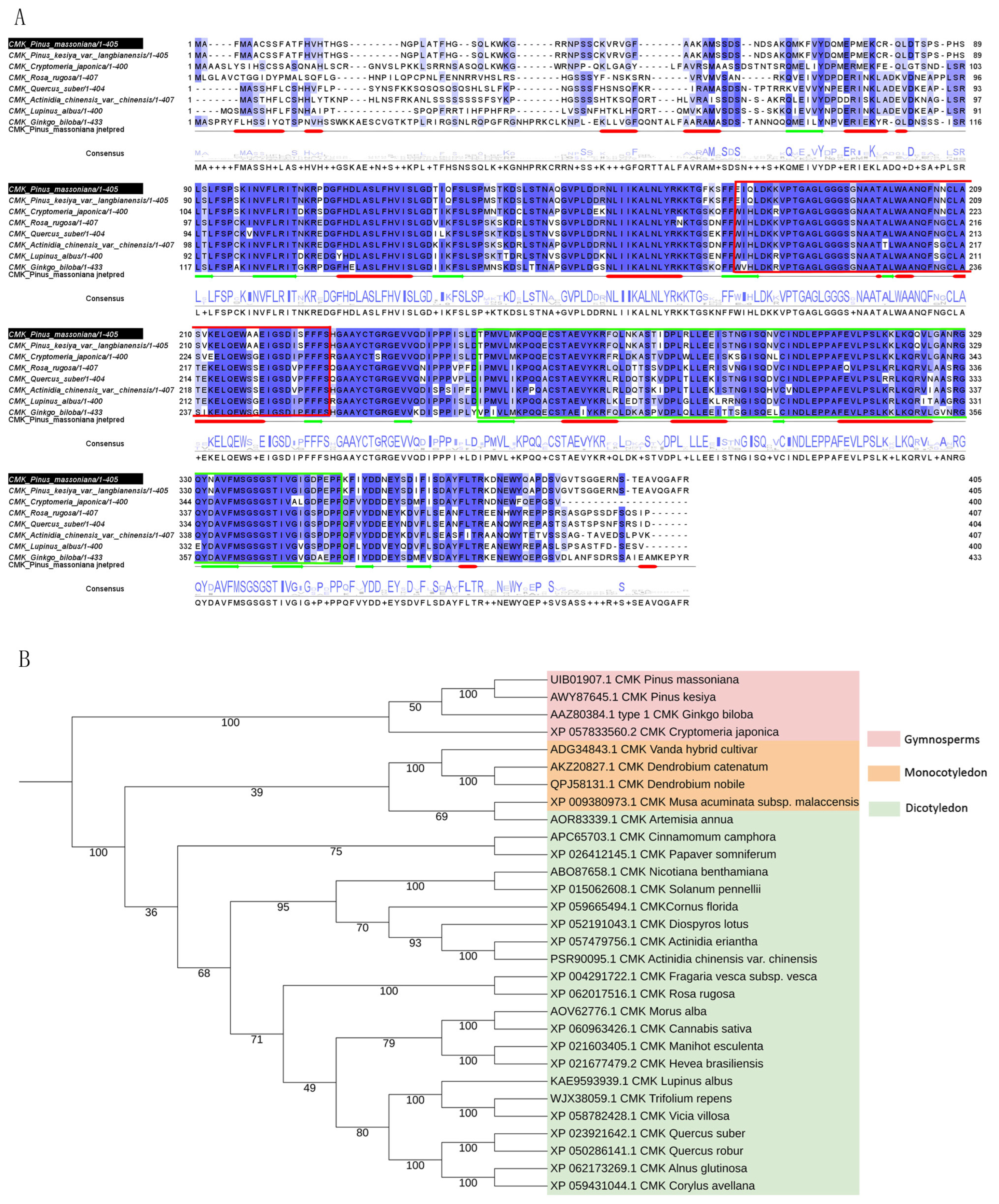 Forests 15 01019 g002