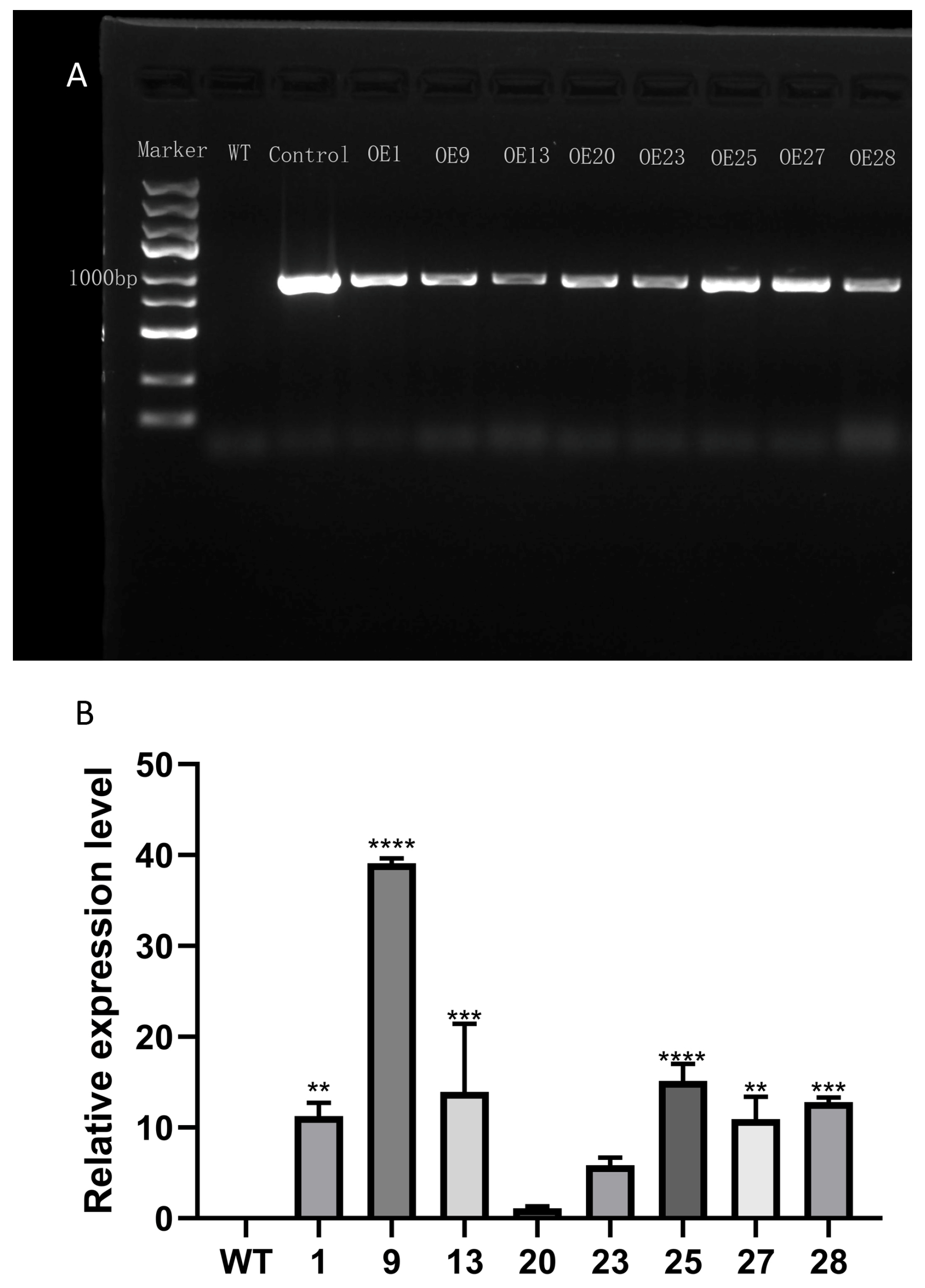 Forests 15 01019 g006