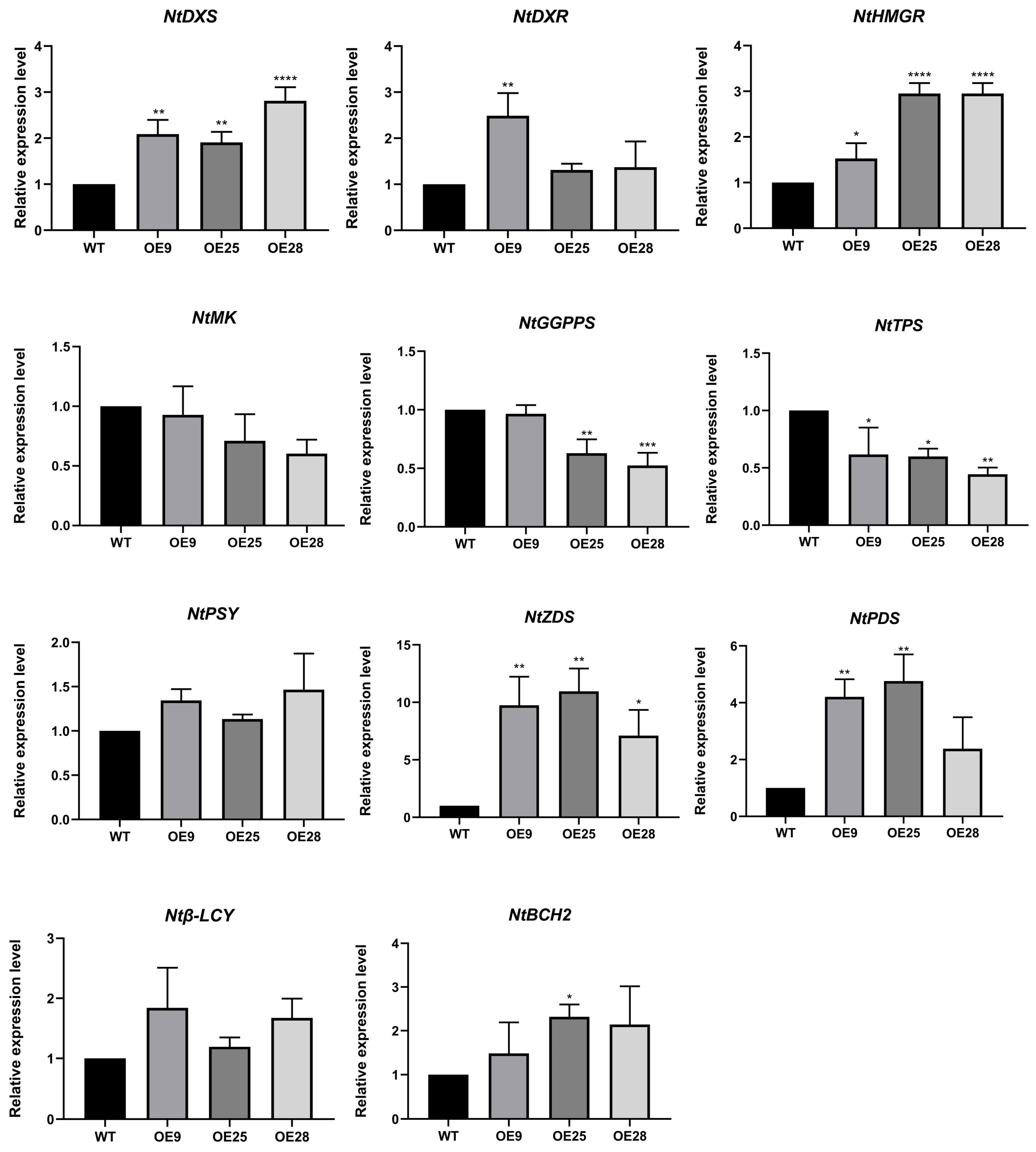 Forests 15 01019 g008