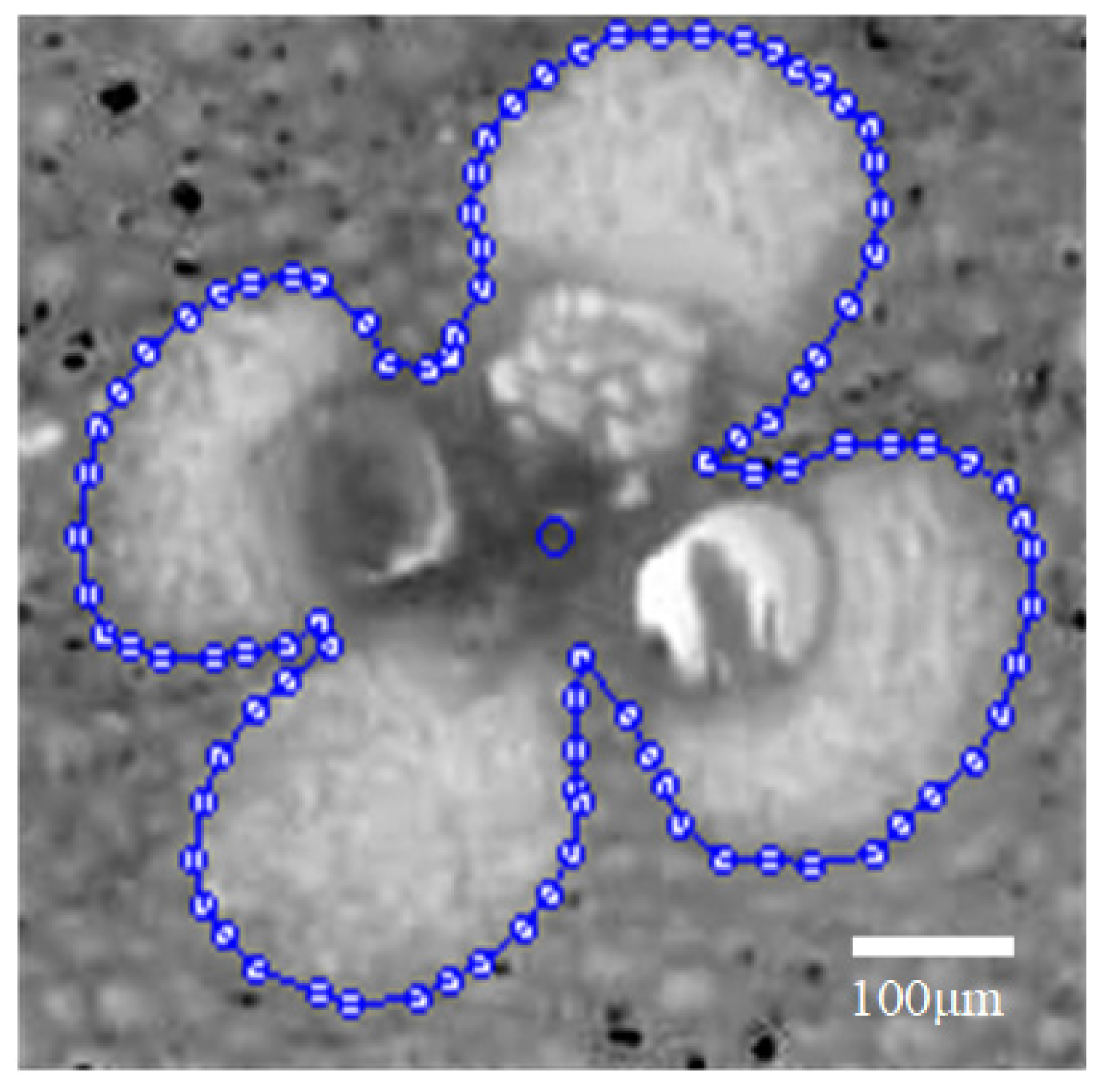 Forests 15 01023 g004