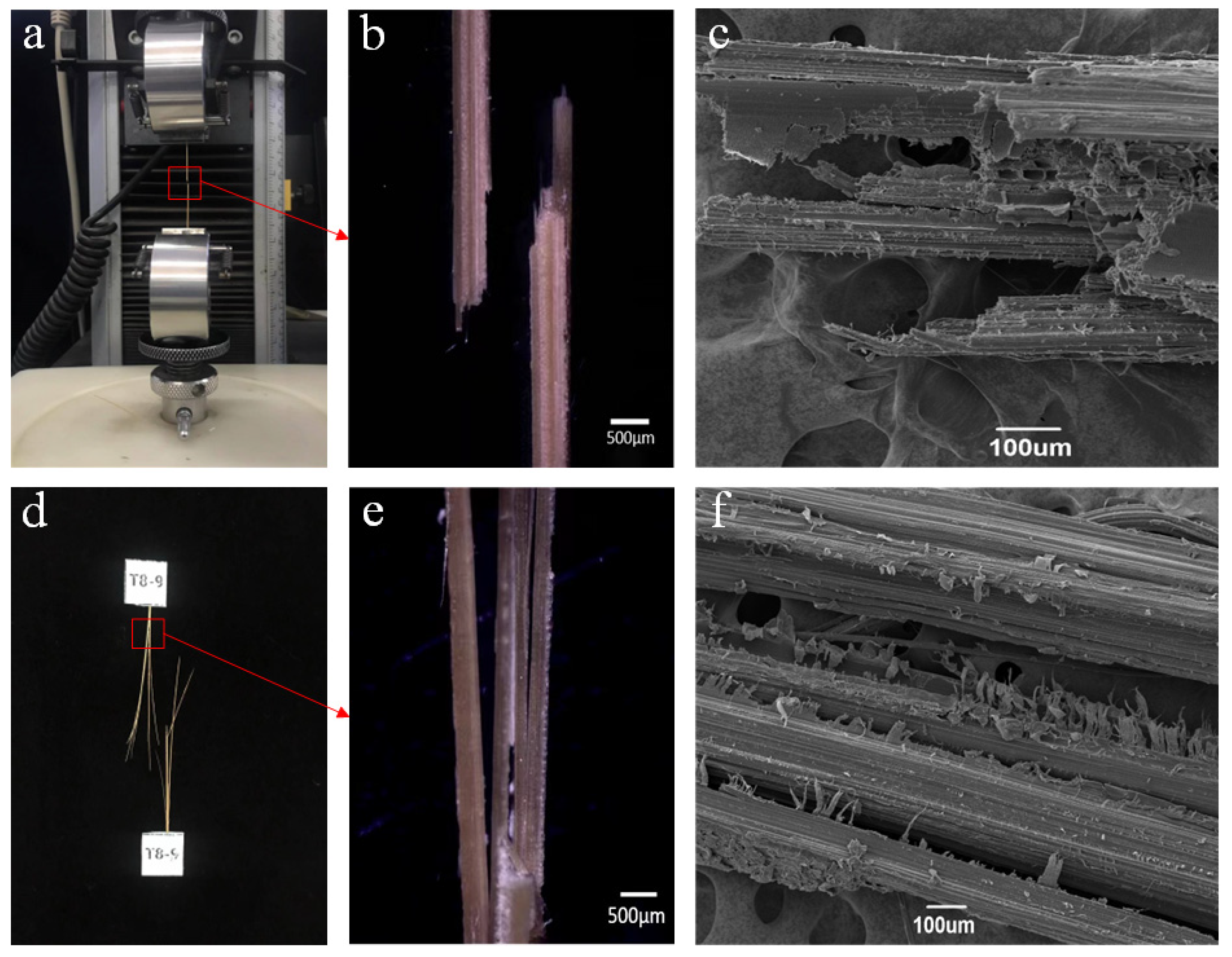 Forests 15 01023 g010
