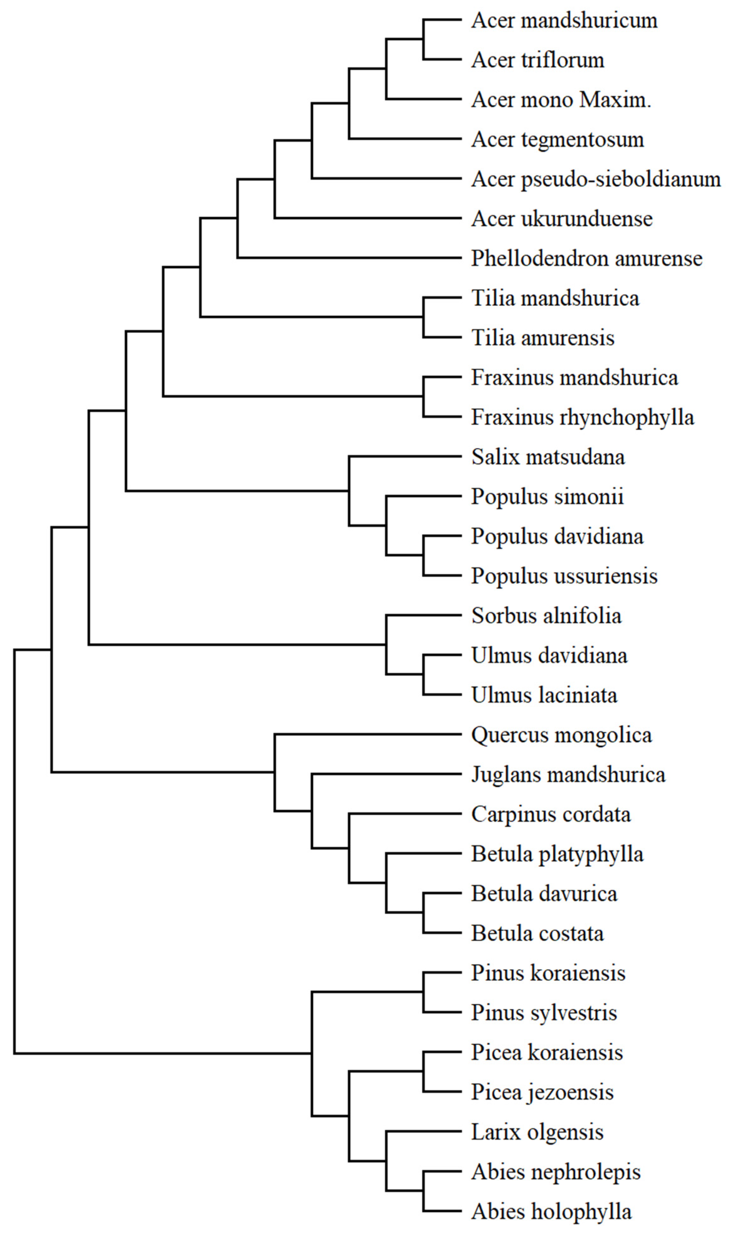 Forests 15 01026 g002