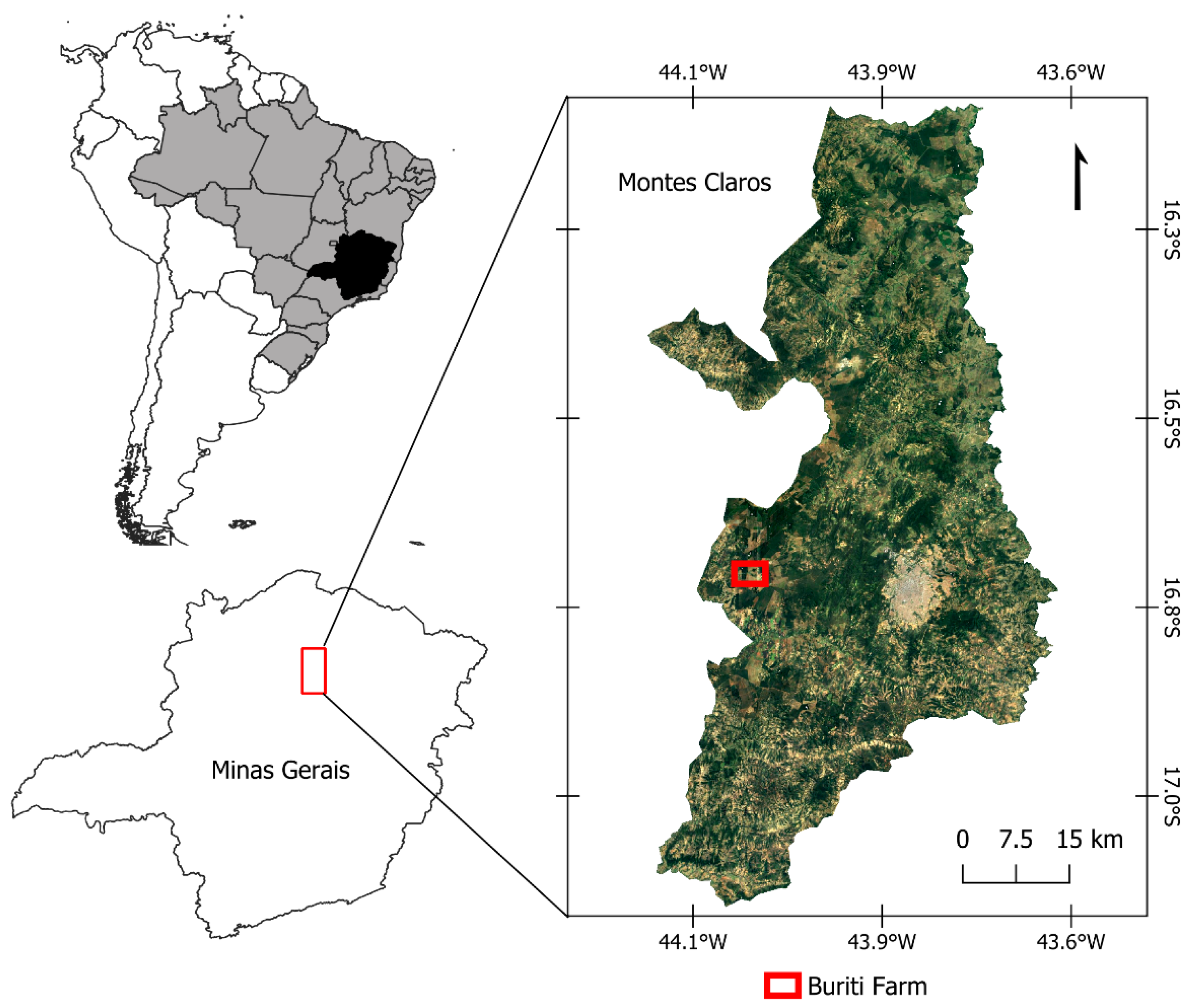 Forests 15 01029 g001 Forests 15 01029 g001