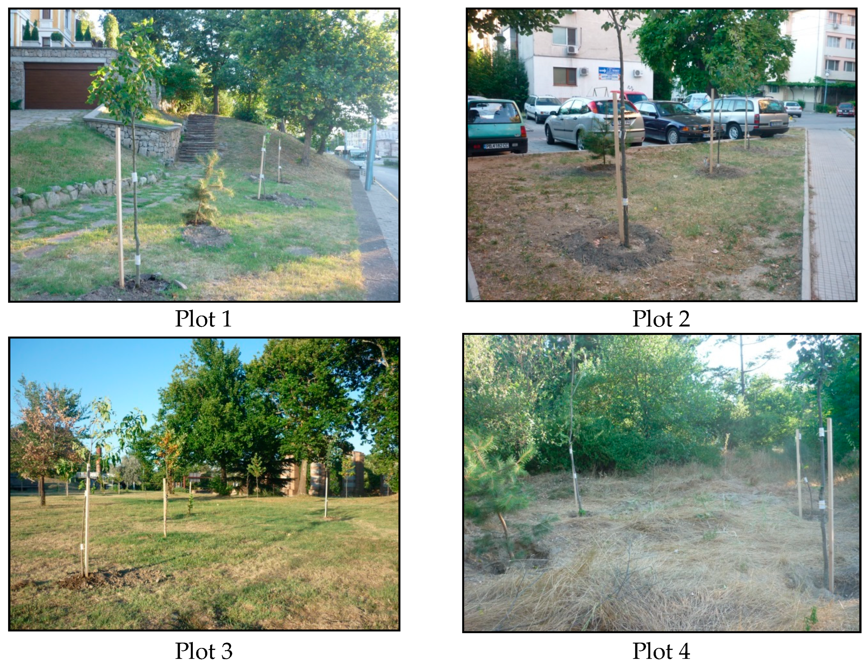 Forests 15 01034 g002