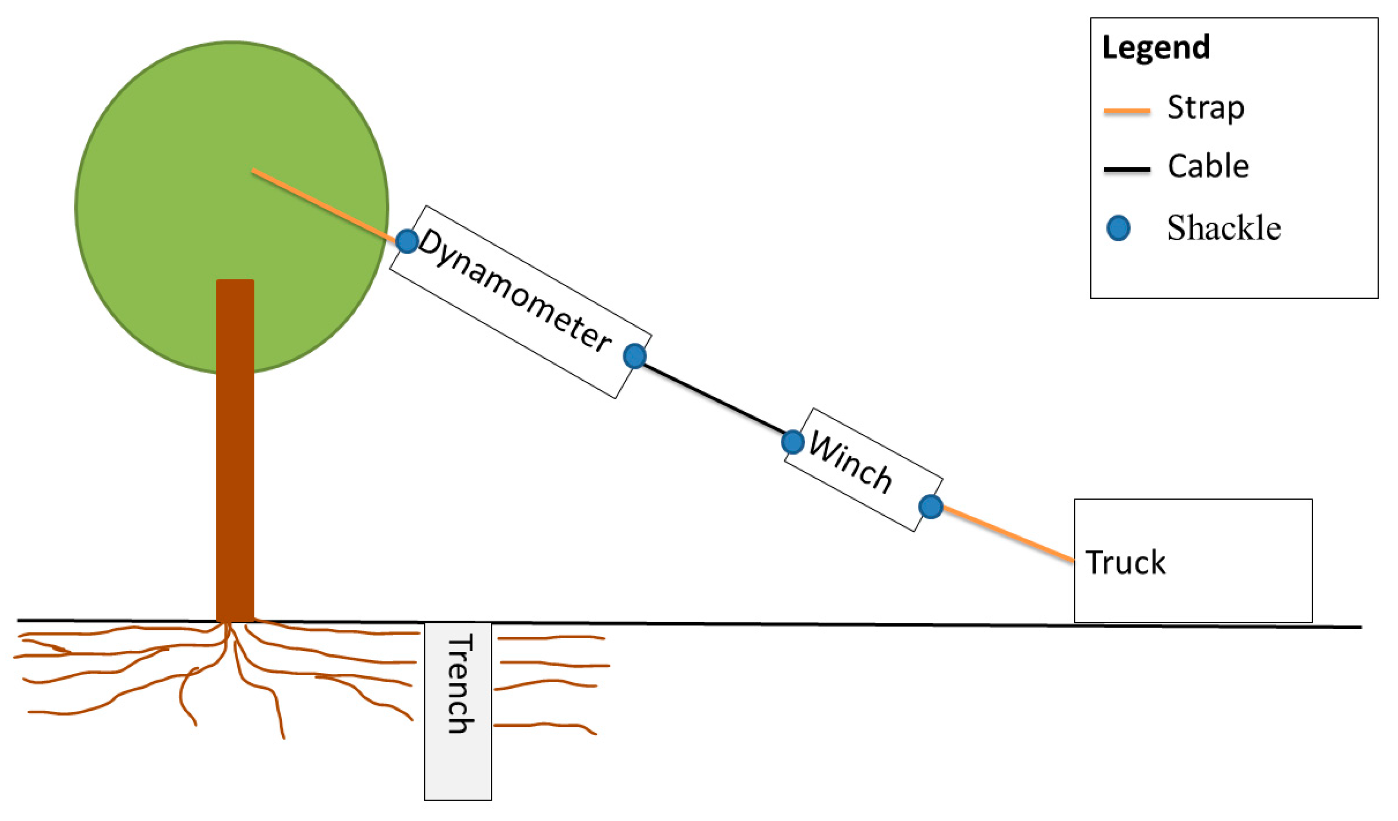 Forests 15 01041 g002