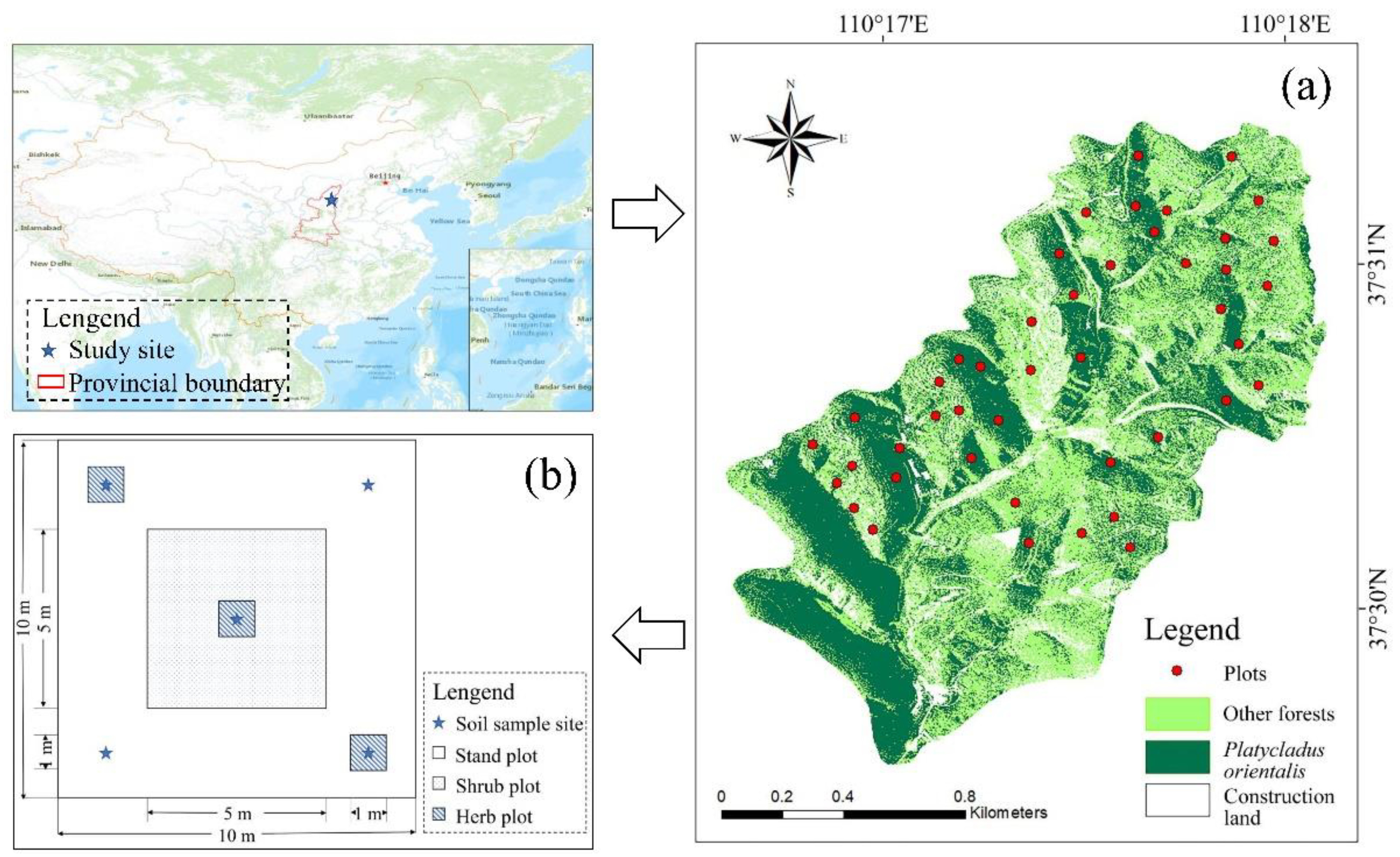 Forests 15 01042 g001