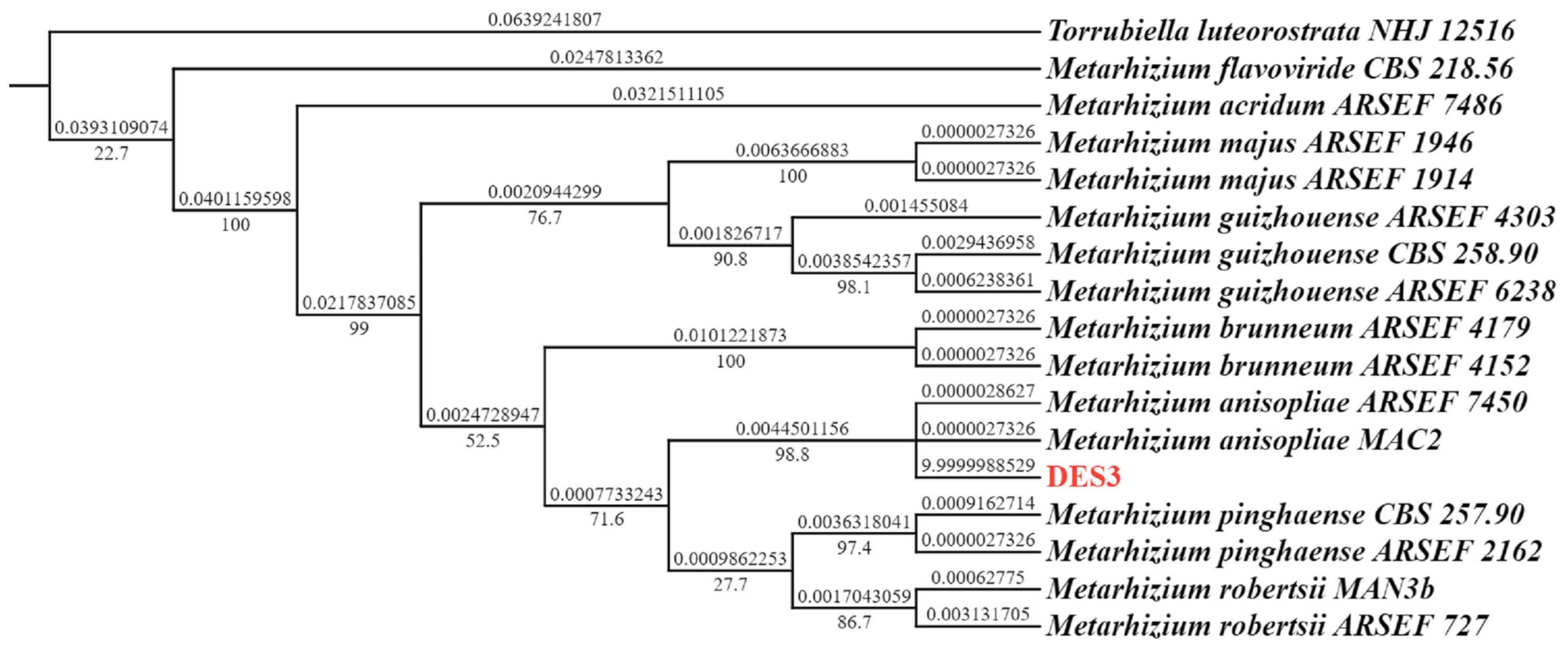 Forests 15 01045 g001