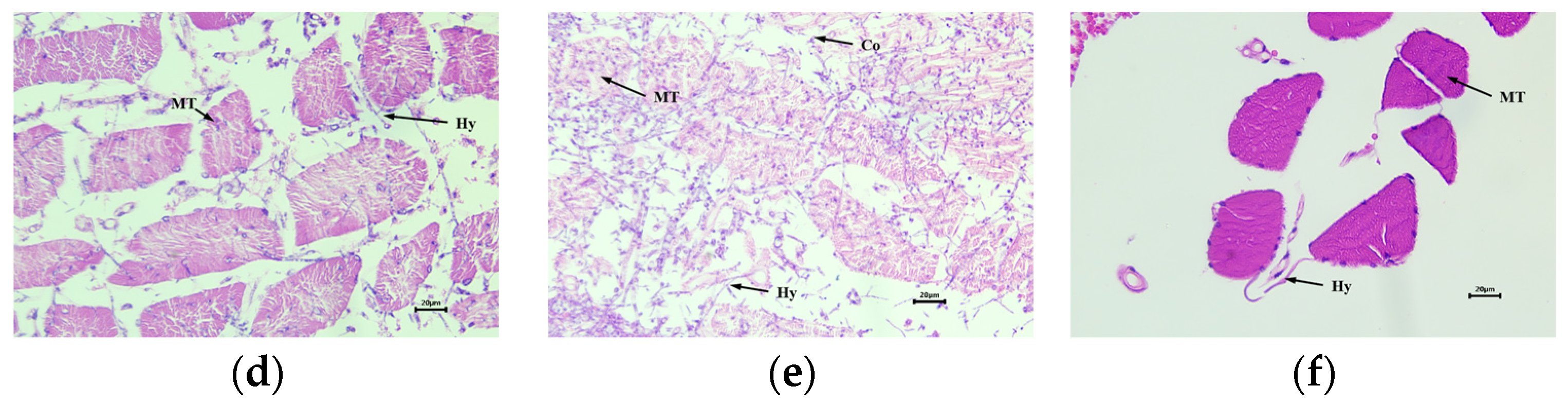 Forests 15 01045 g006b
