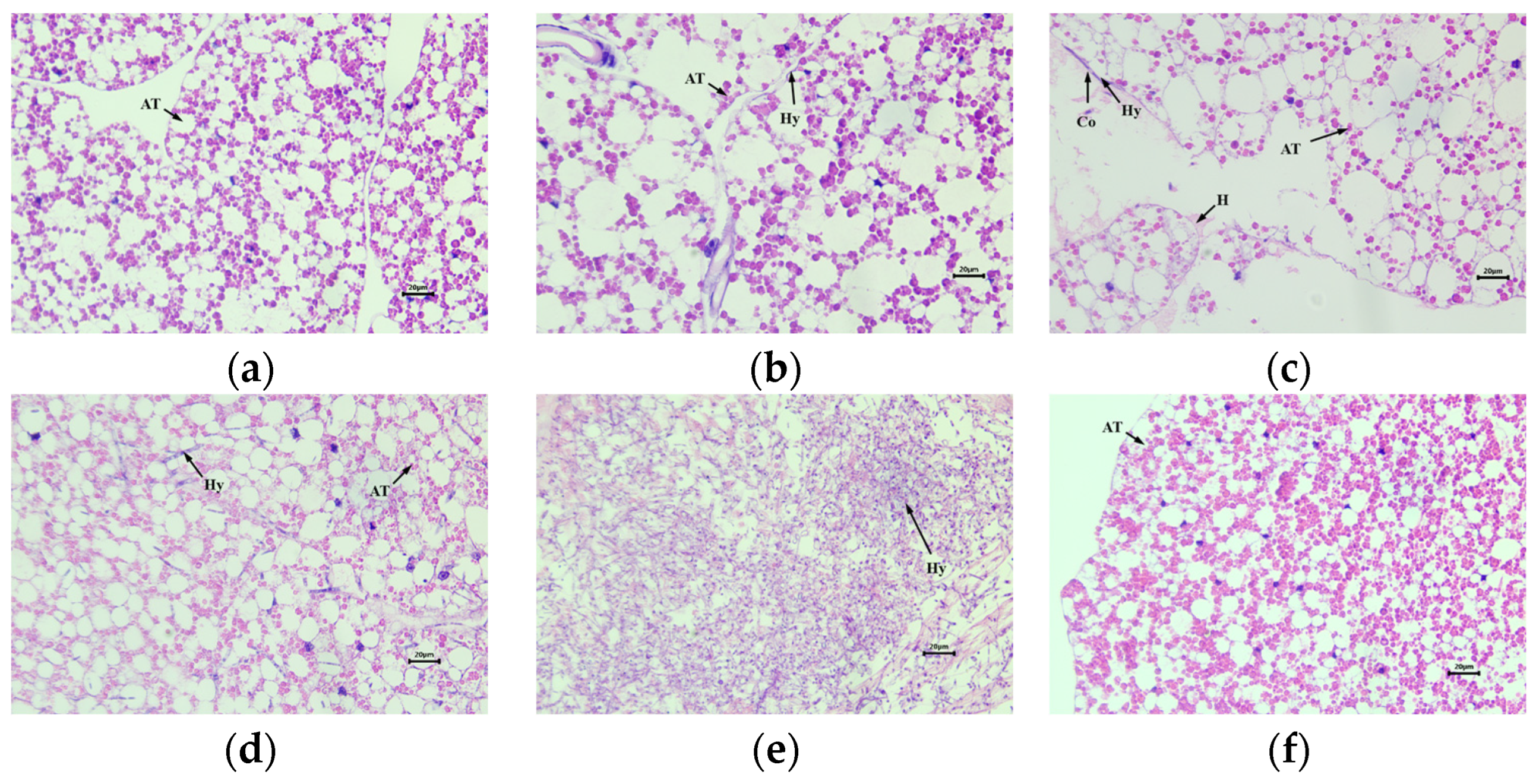 Forests 15 01045 g007