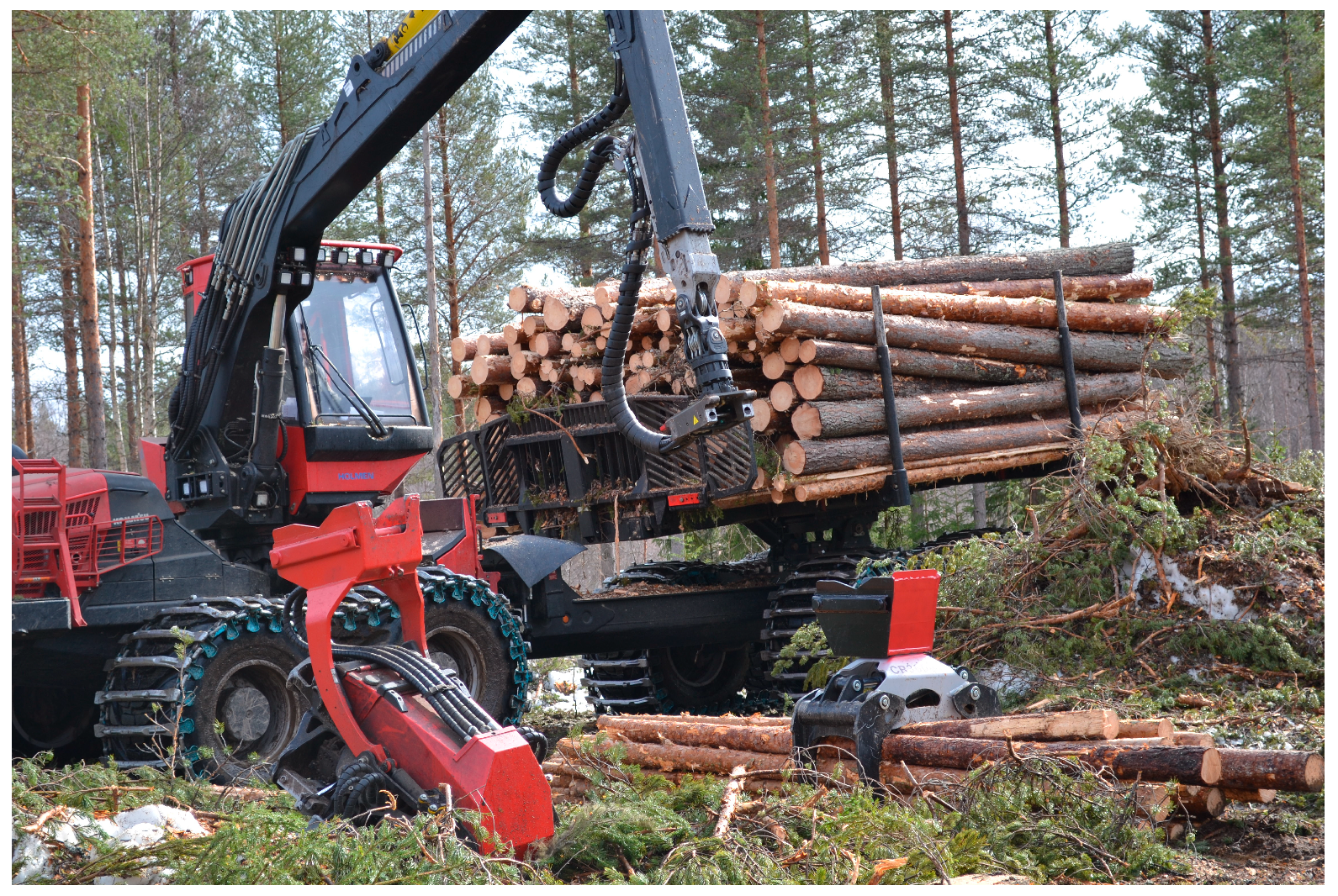 Forests 15 01046 g002 Forests 15 01046 g002