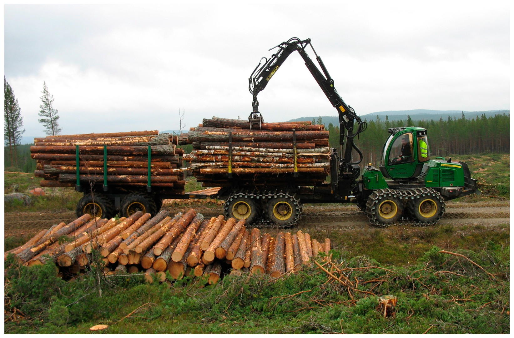 Forests 15 01046 g003 Forests 15 01046 g003