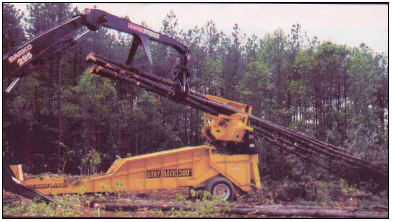 Forests 15 01046 g005 Forests 15 01046 g005