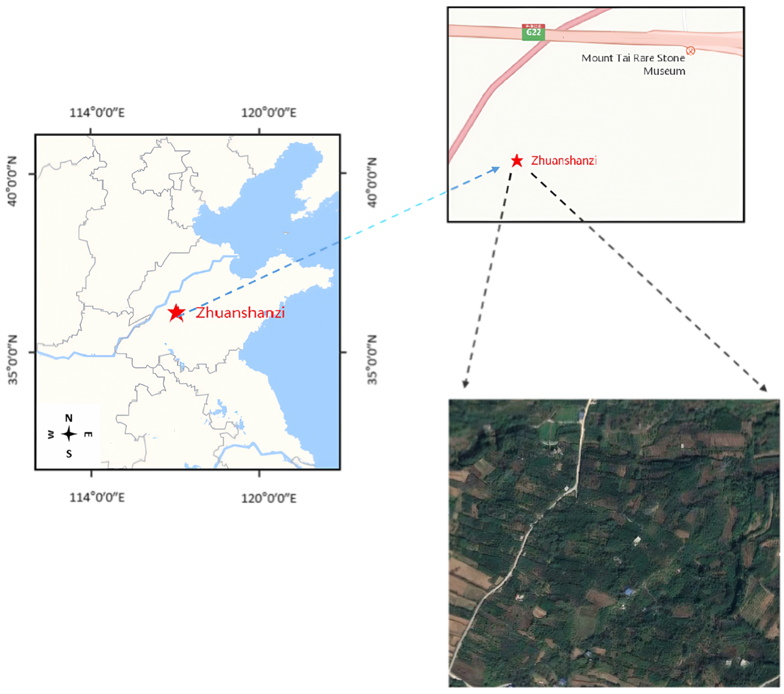 Forests 15 01050 g006