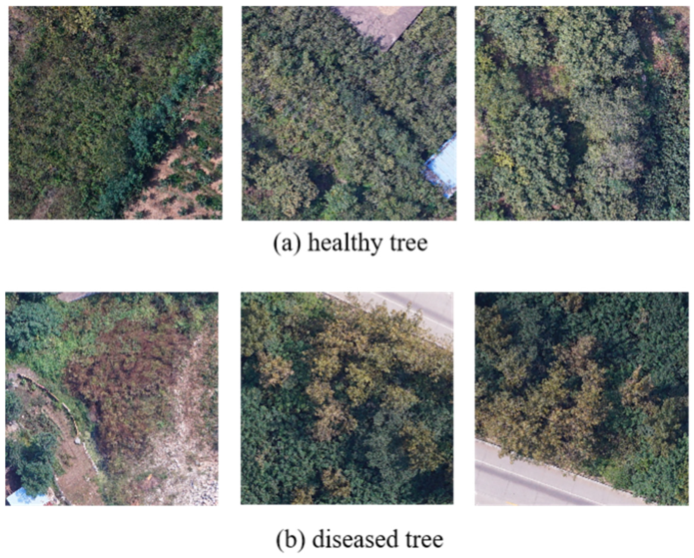 Forests 15 01050 g008
