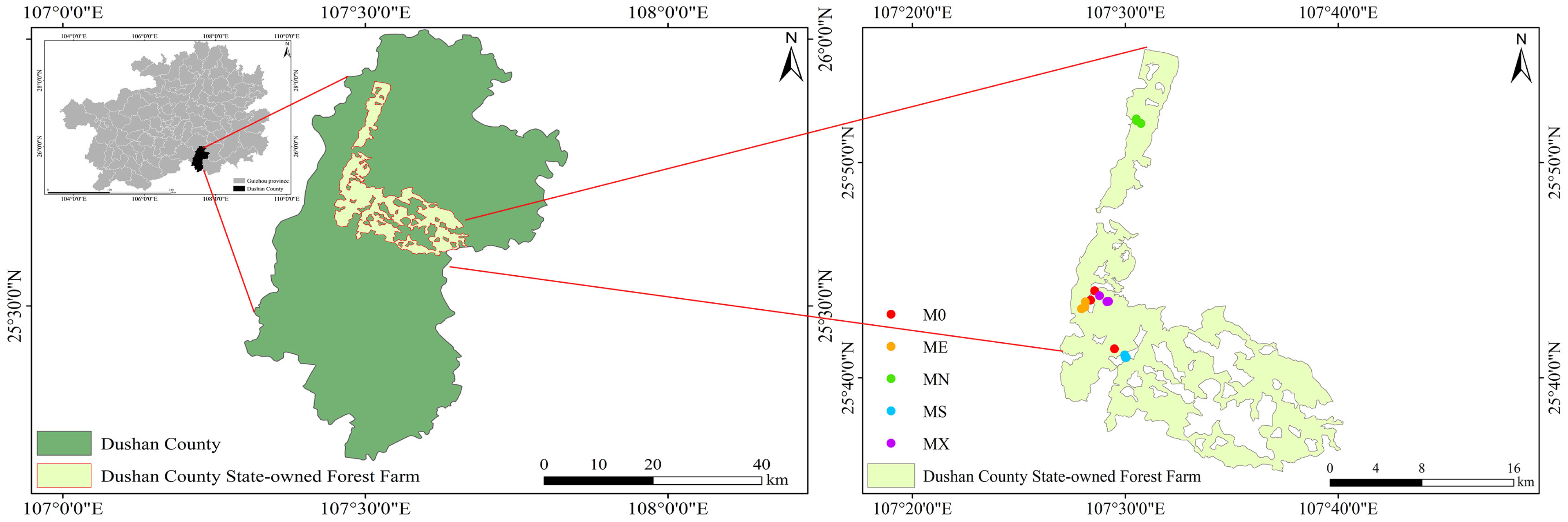 Forests 15 01053 g001