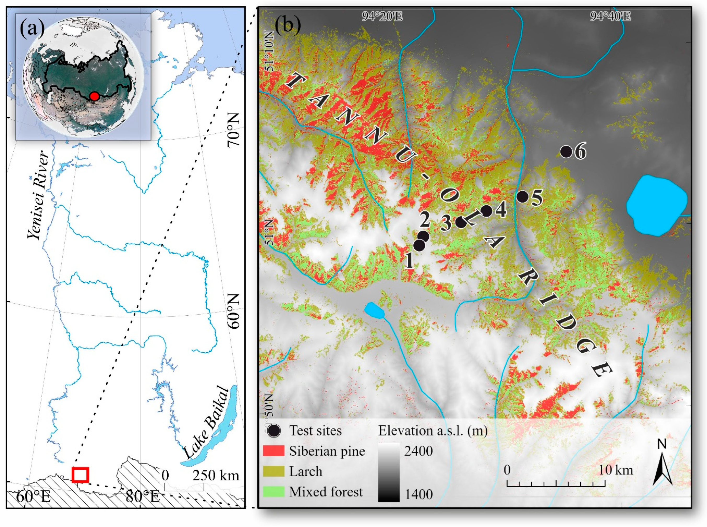 Forests 15 01054 g001