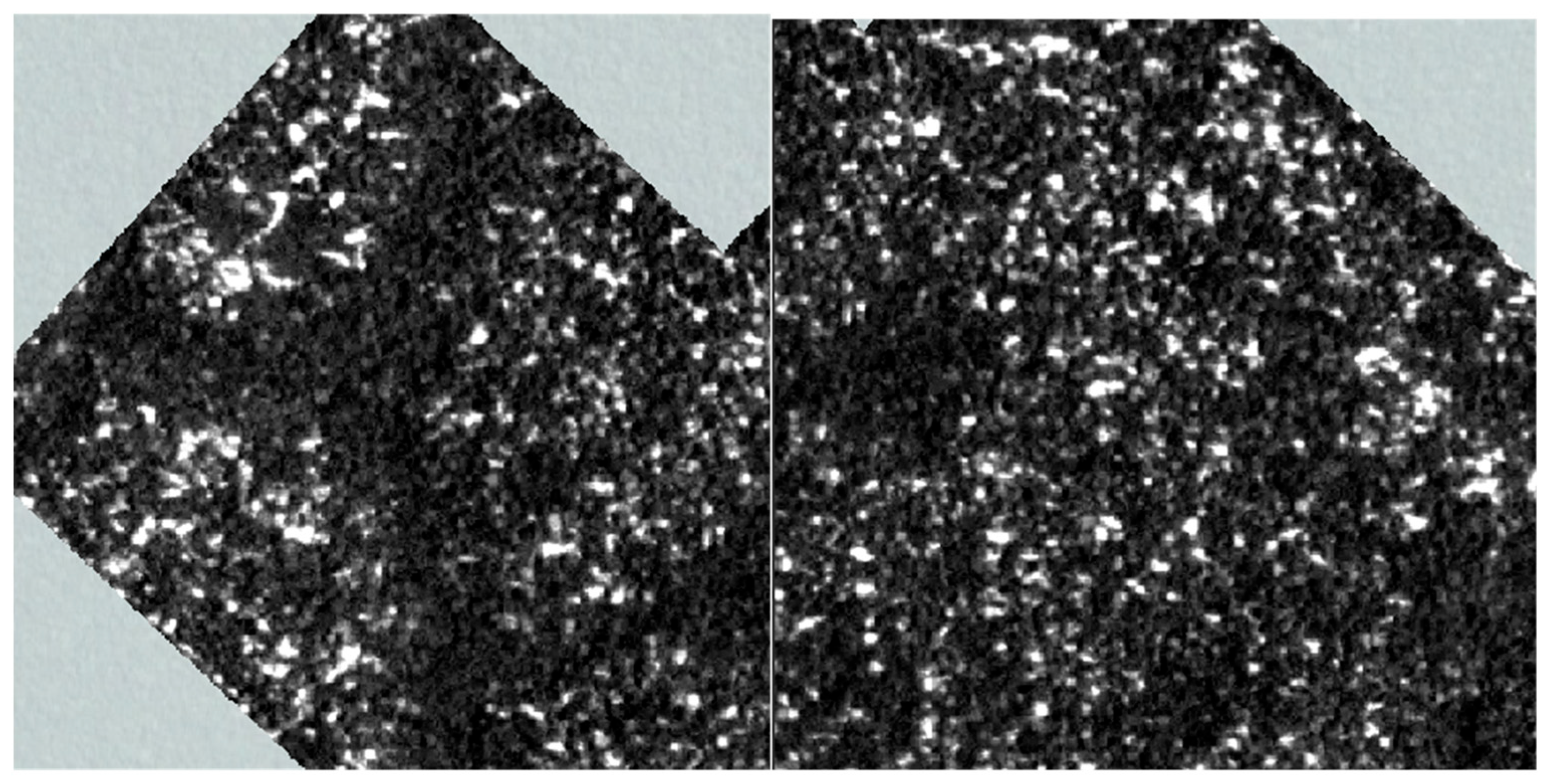 Forests 15 01062 g003 Forests 15 01062 g003