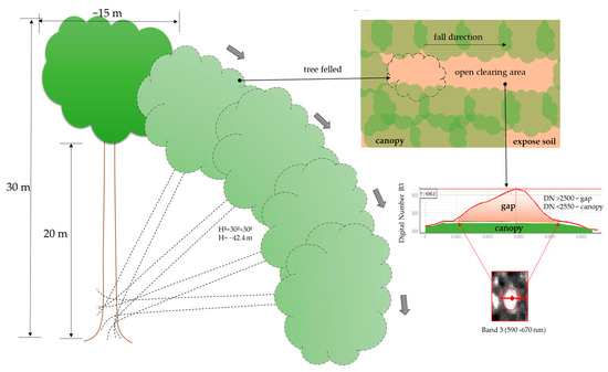 Spatio-Temporal Assessment of Heterogeneity by Logging Intensity in a ...