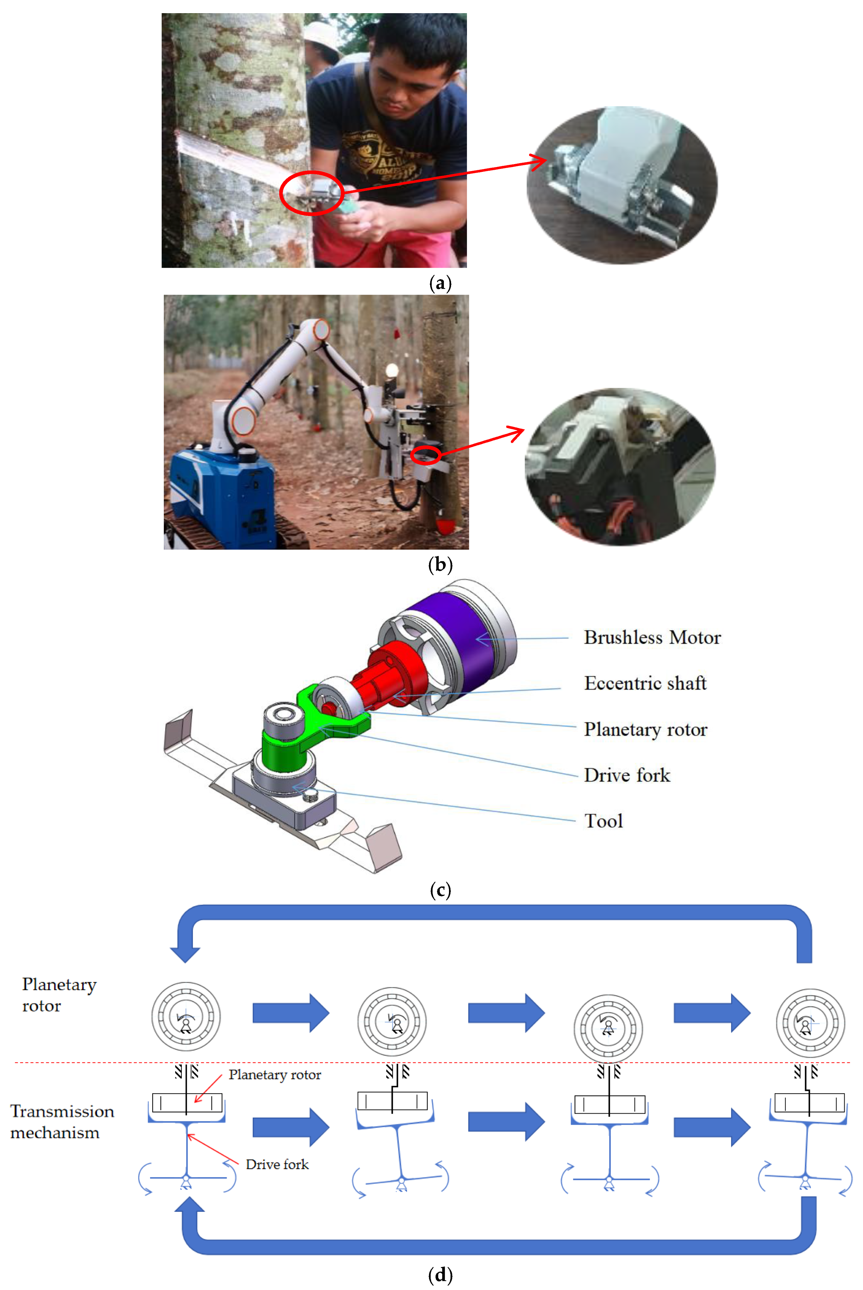 Forests 15 01071 g002