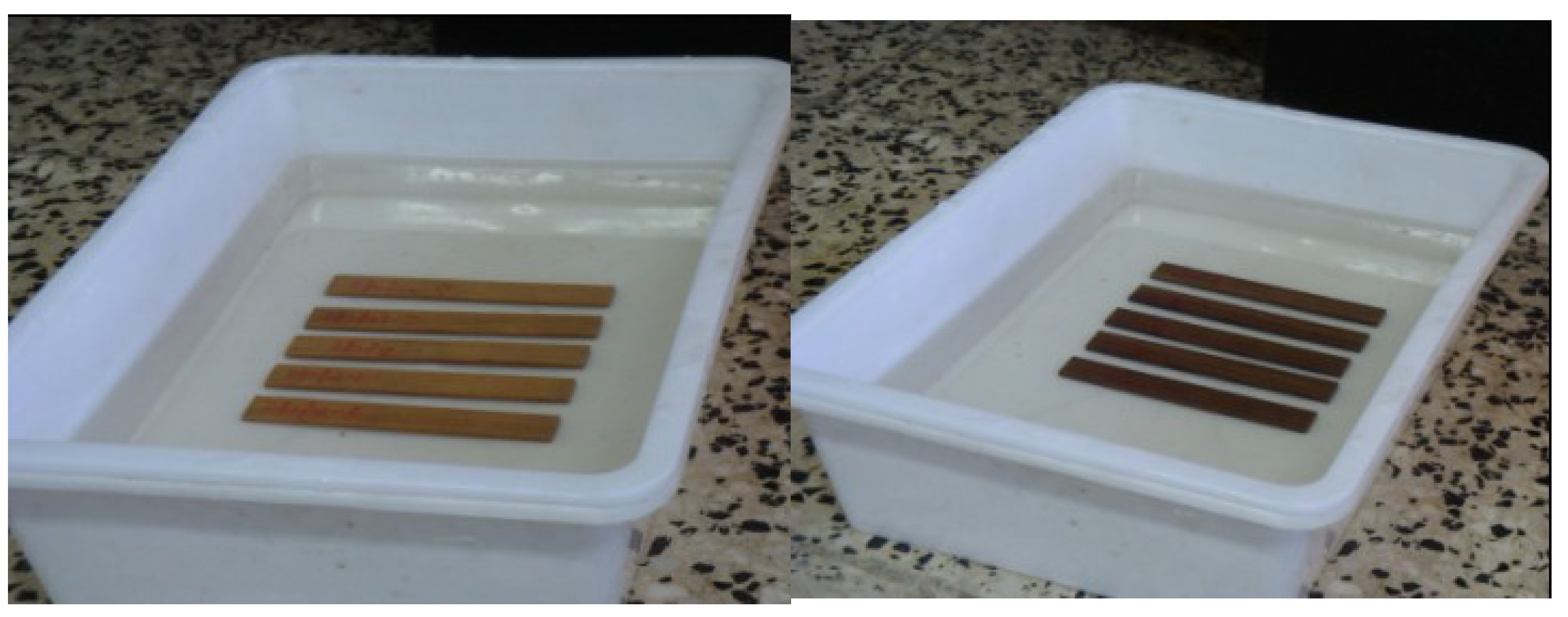 Forests 15 01077 g002