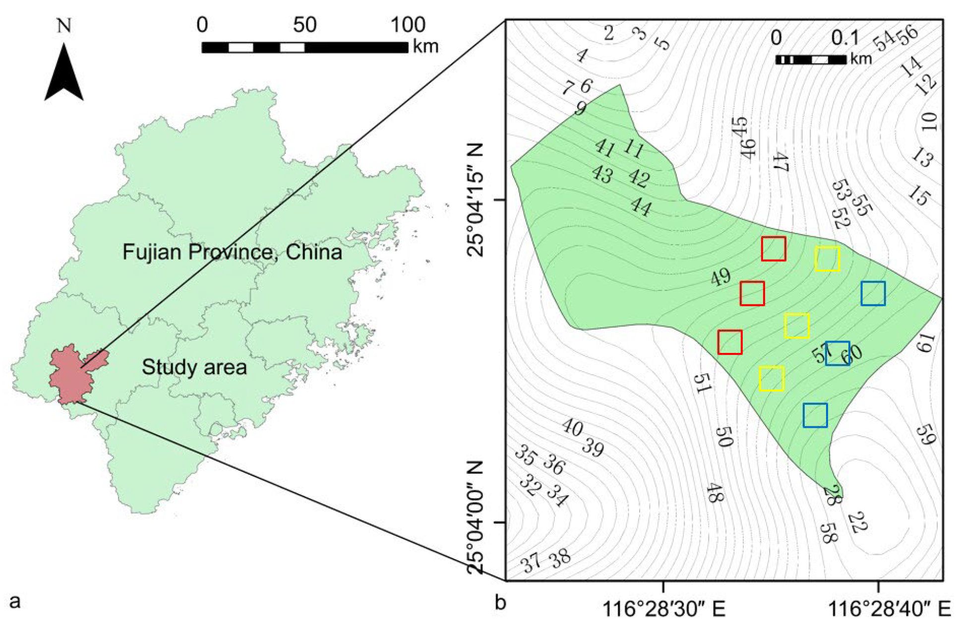 Forests 15 01081 g001