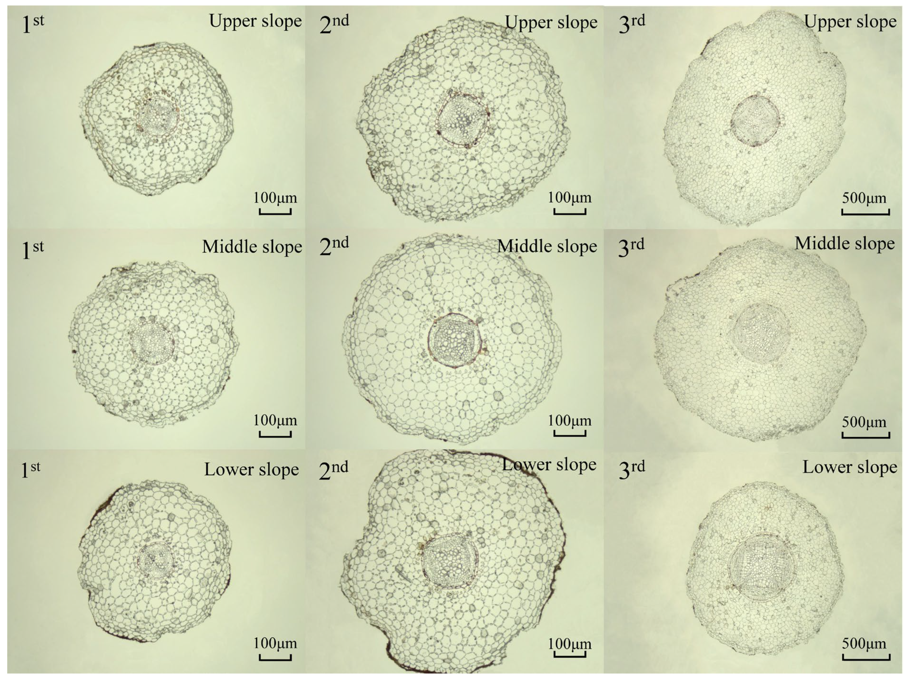Forests 15 01081 g003