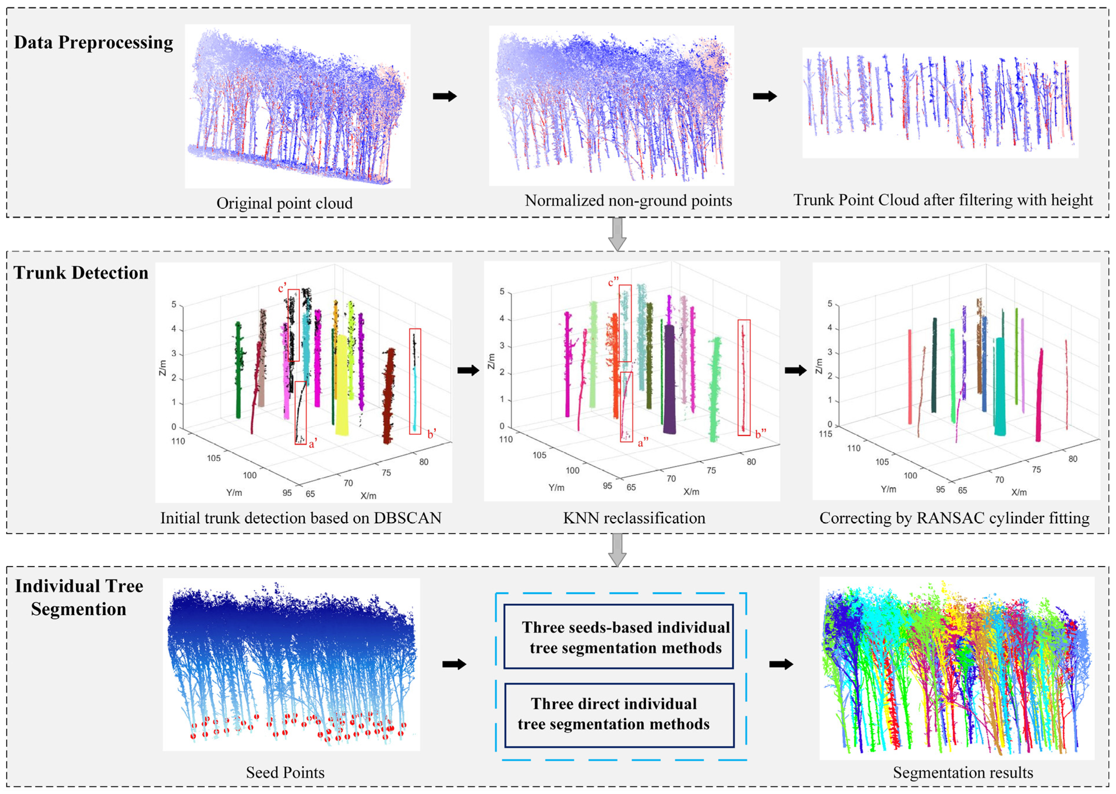 Forests 15 01083 g003