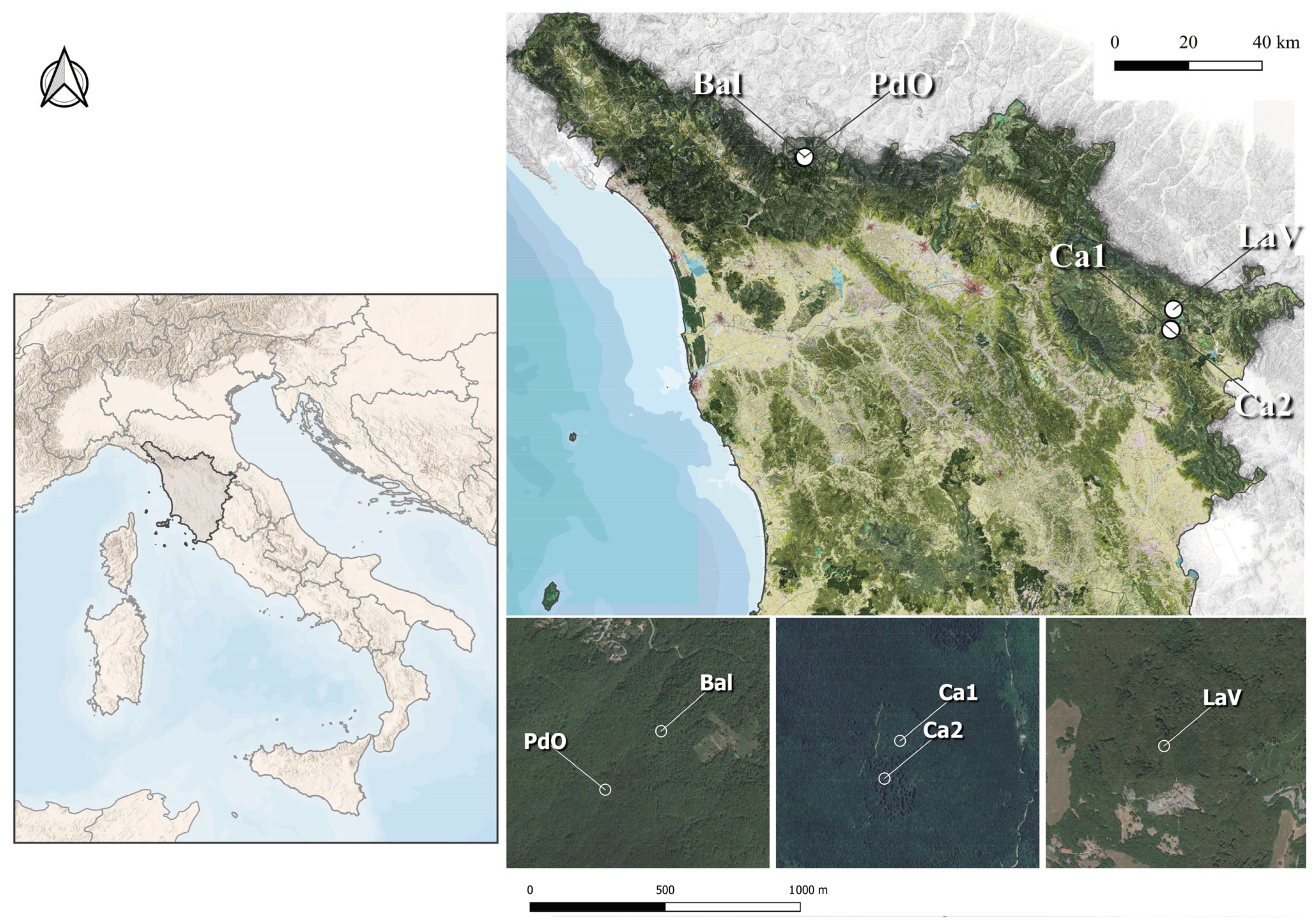 Forests 15 01085 g001