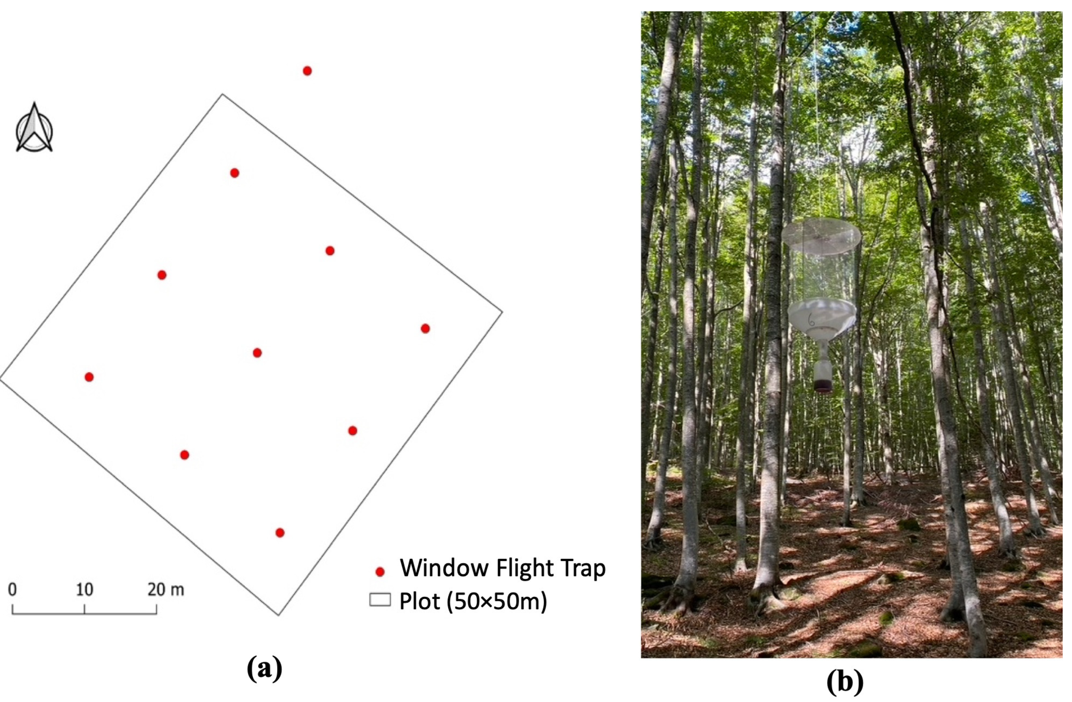 Forests 15 01085 g003
