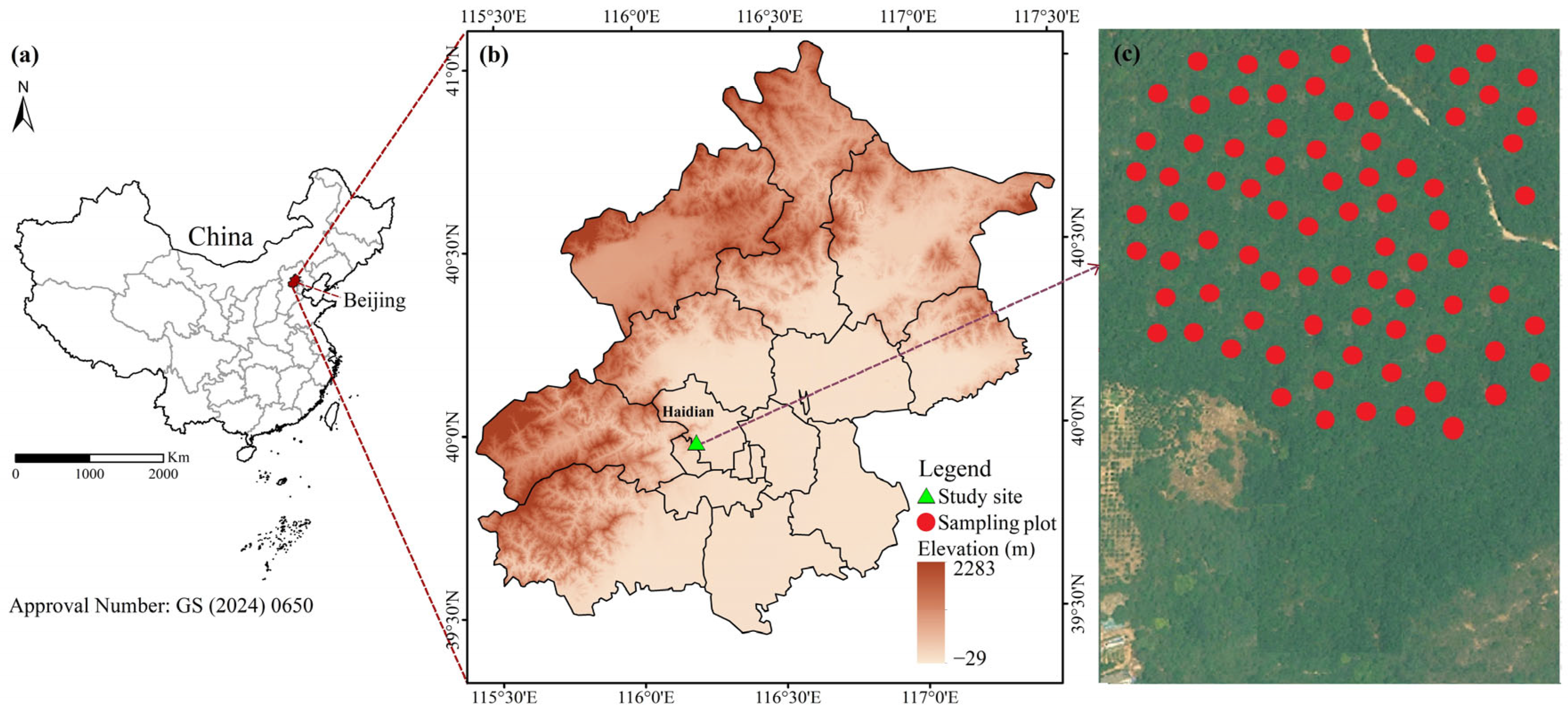 Forests 15 01086 g001