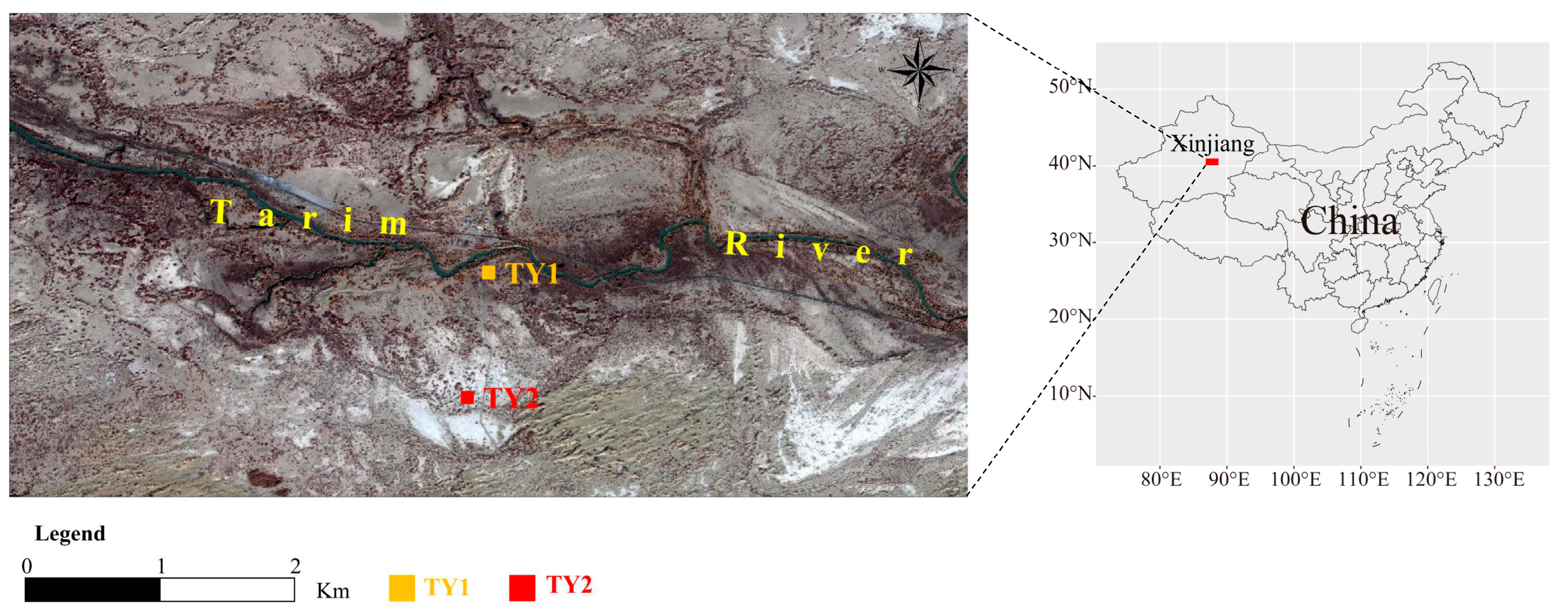 Forests 15 01087 g001
